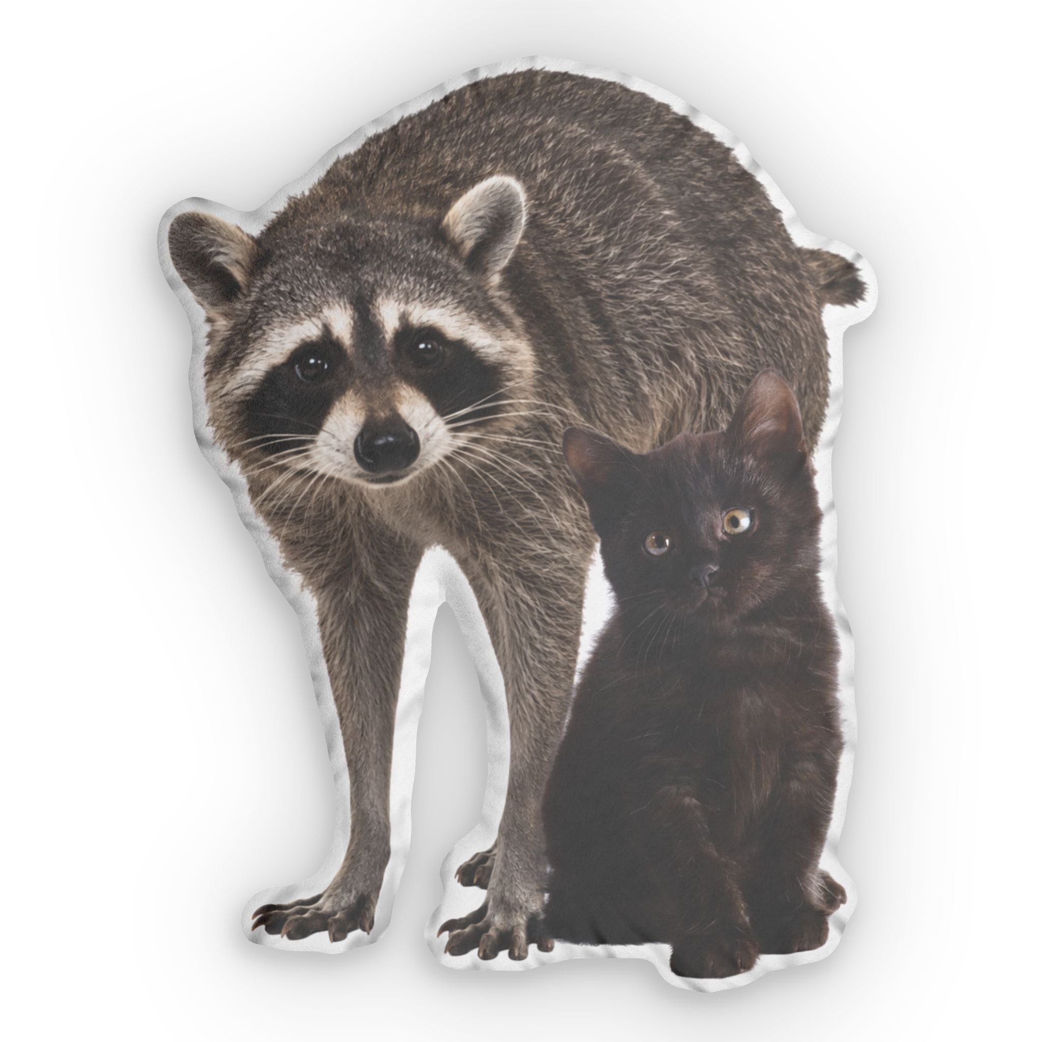 Jimothy & Kitten Shaped Plush Pillow