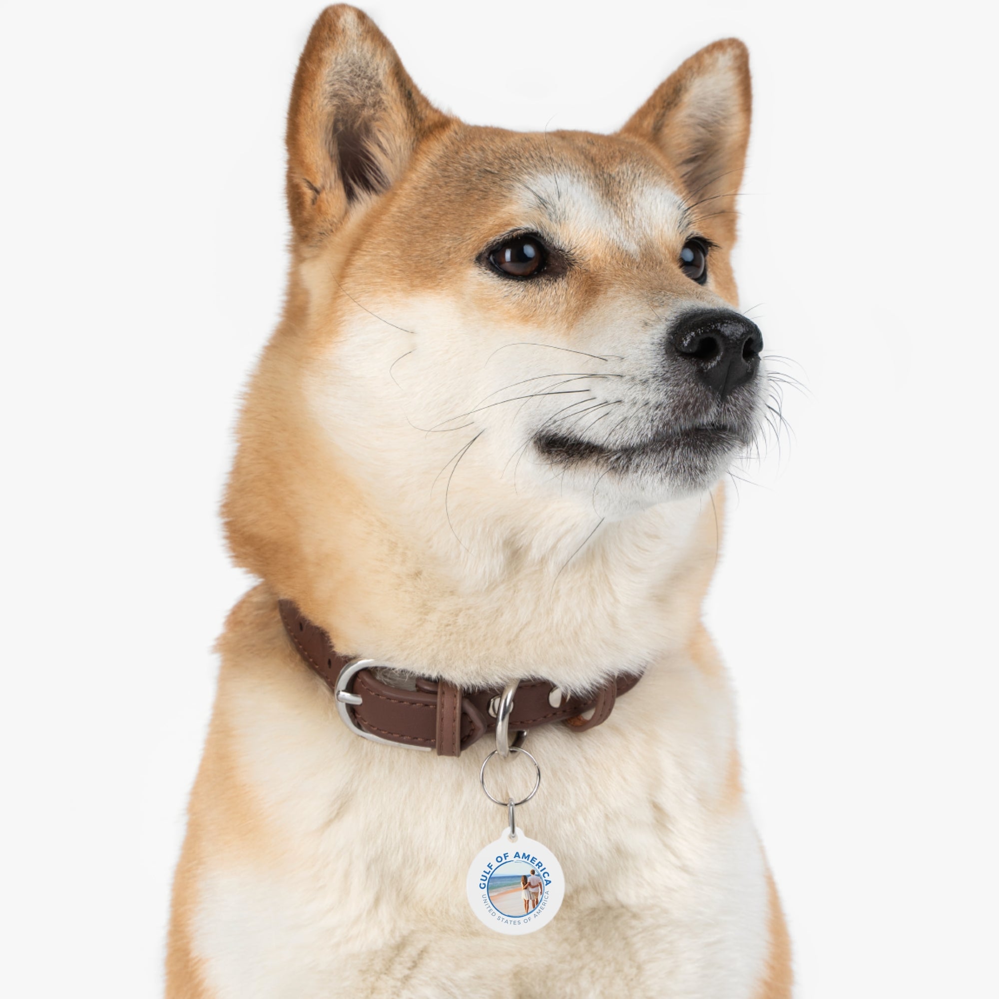 American Gulf Pet Tag