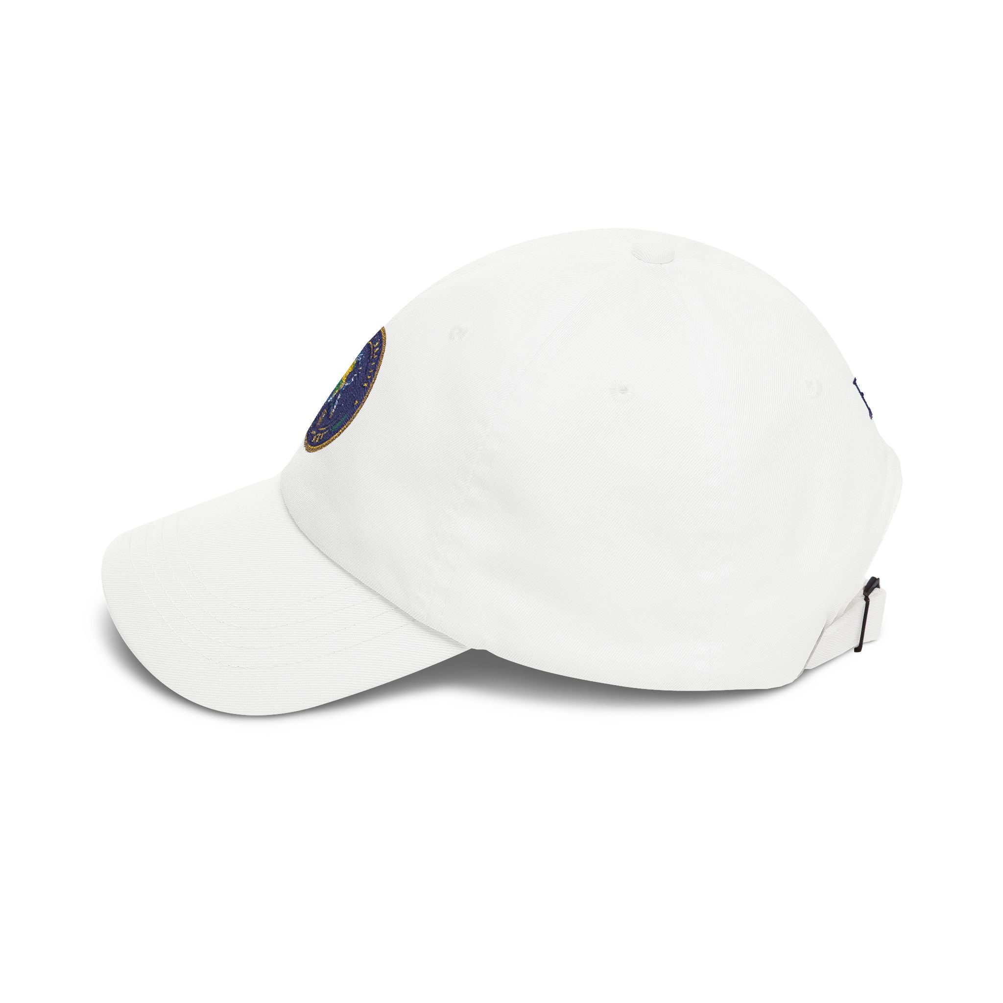 Alternate Reality Department Embroidered Hat – Satirical Seal Cap