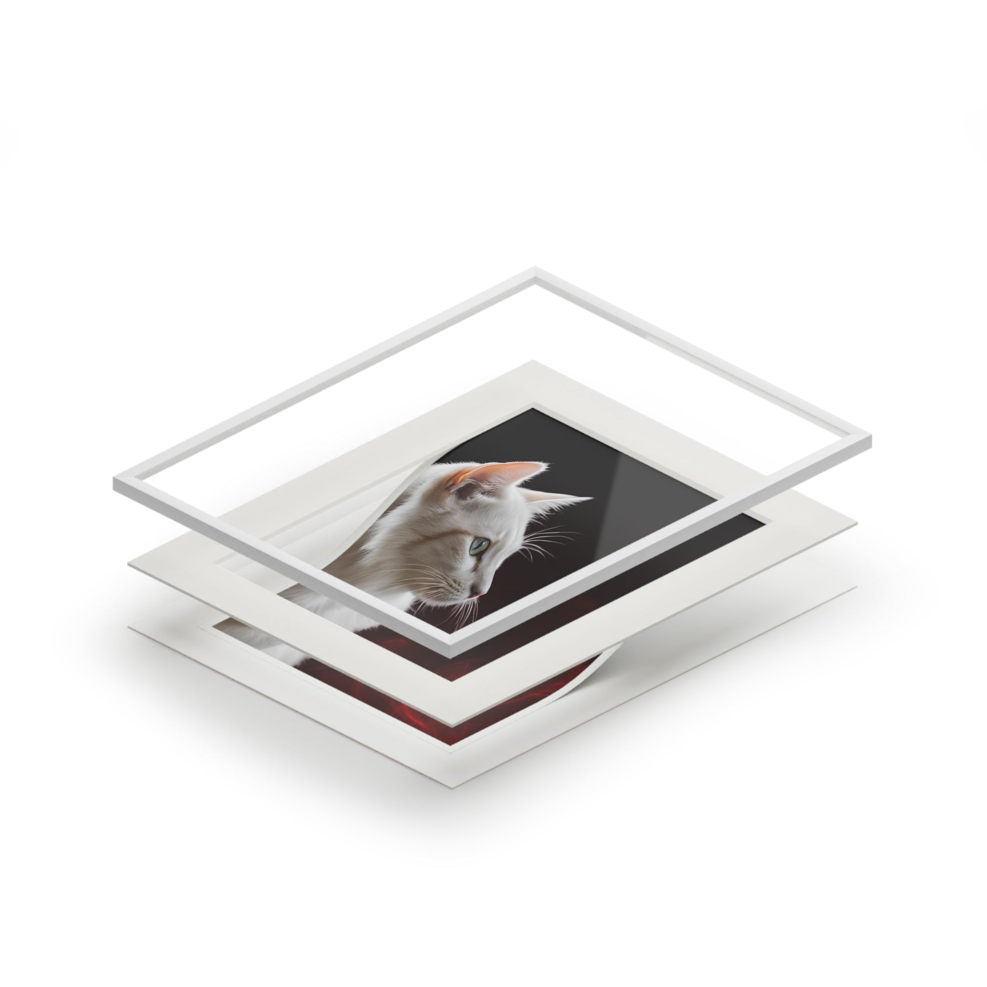 Wonderful White Cat Fine Art Print with Passepartout Frame Printify
