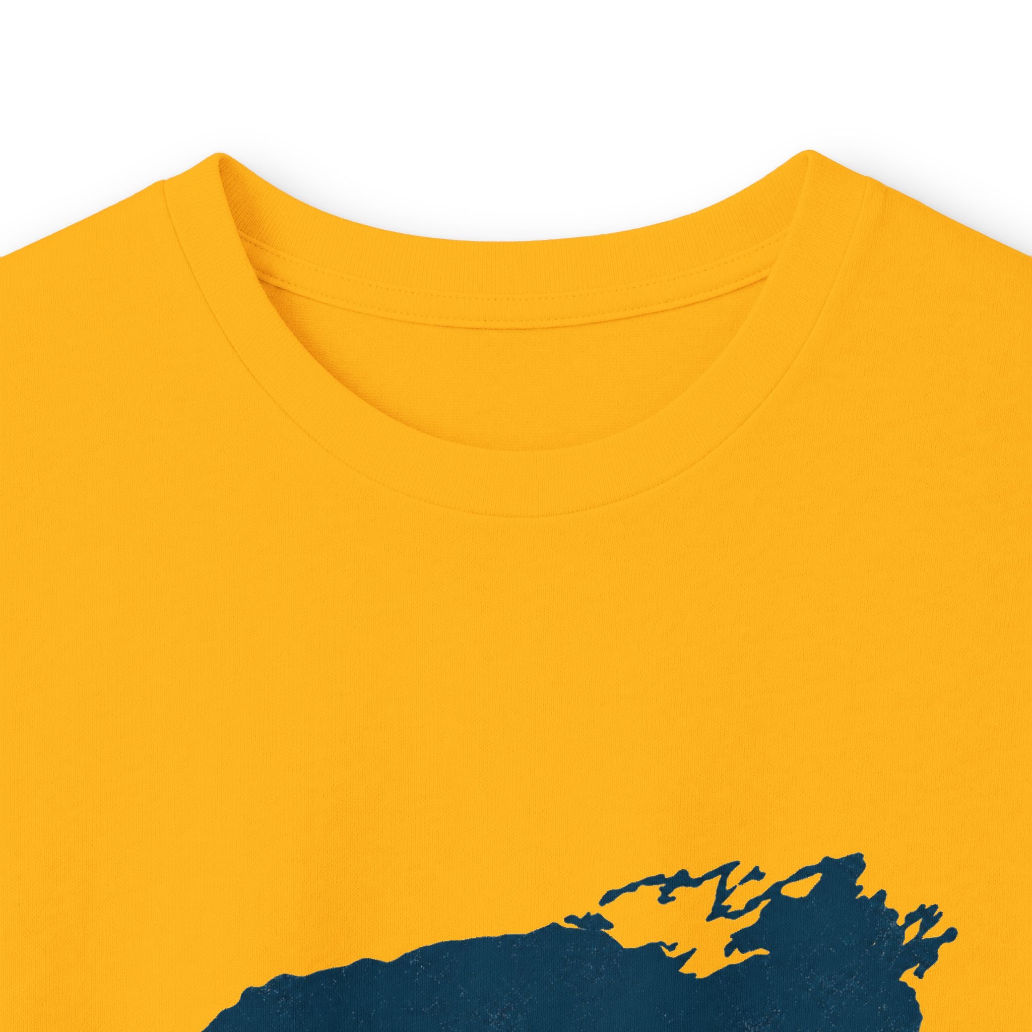 Uncharted Waters, Apparently Long Sleeve Tee | Lake Ontario Humor Shirt