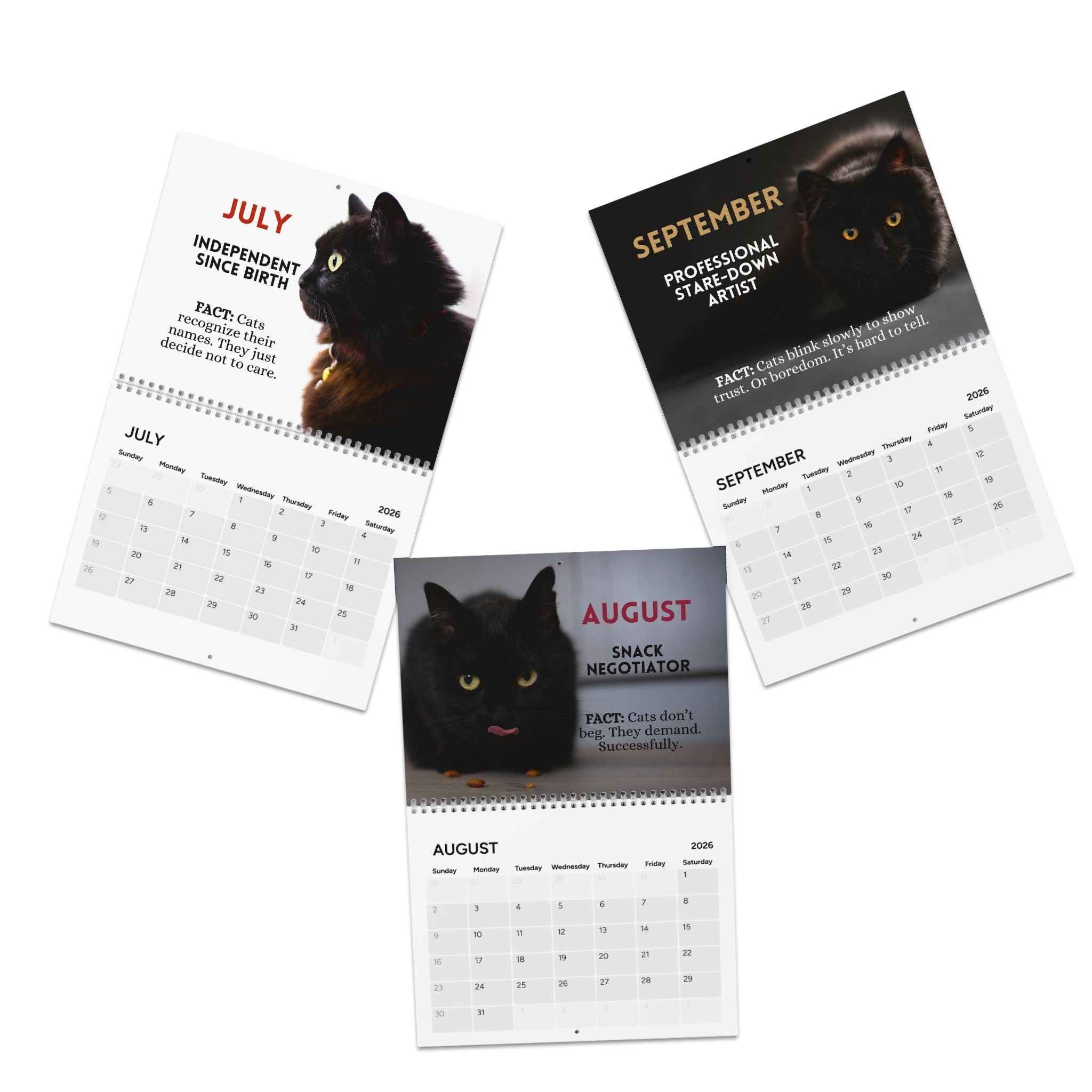 Twelve Months of Cat Chaos 2026 Calendar