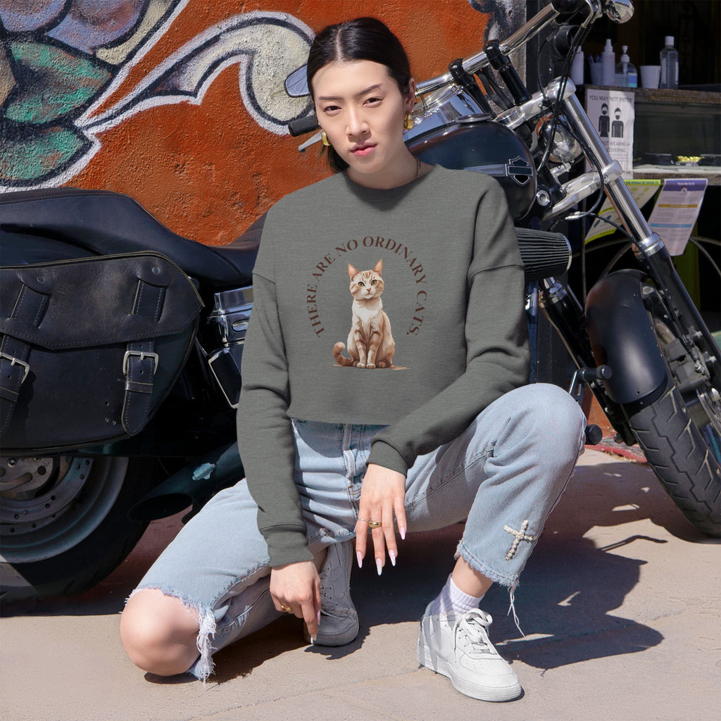 No Ordinary Cats Women's Cropped Sweatshirt