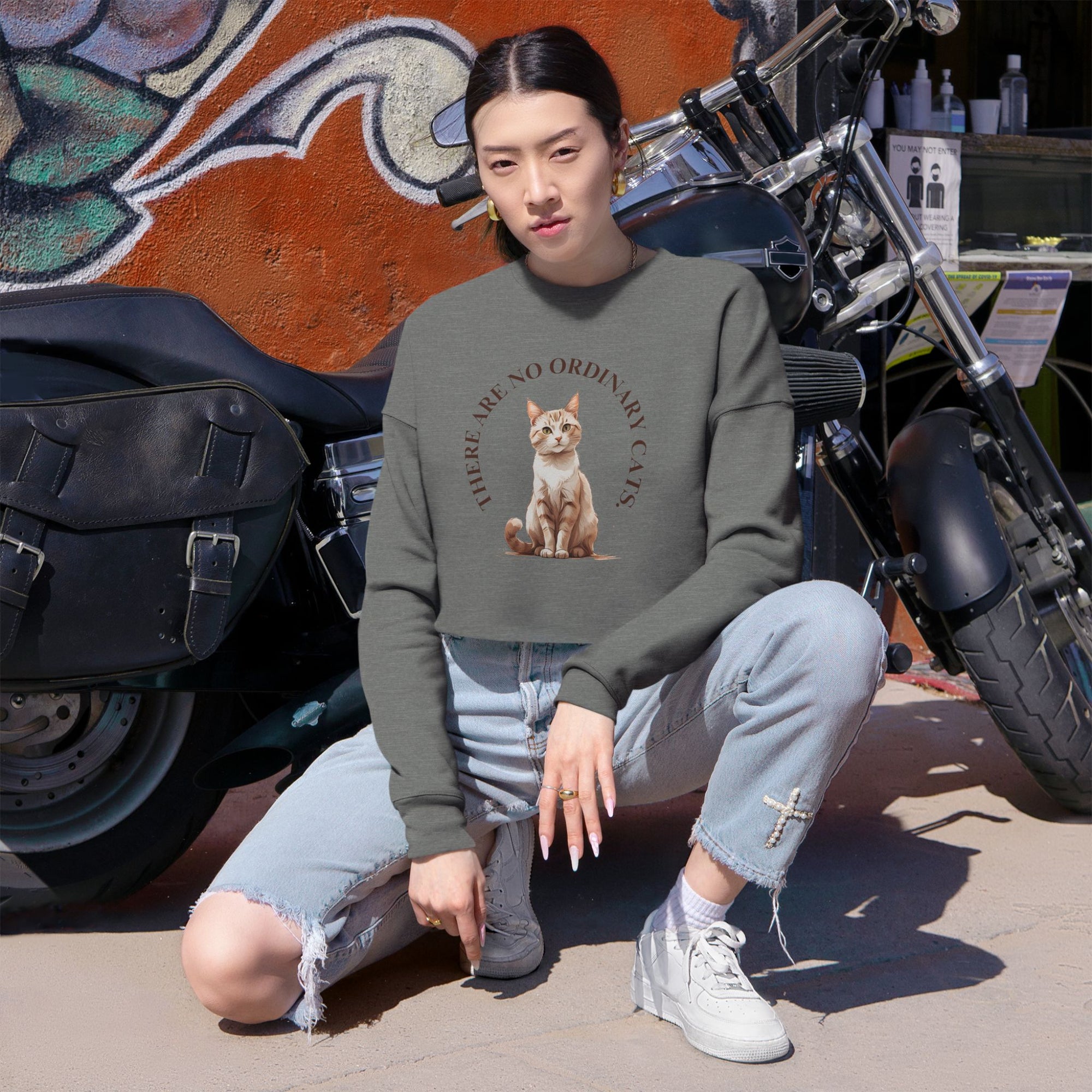 No Ordinary Cats Women's Cropped Sweatshirt