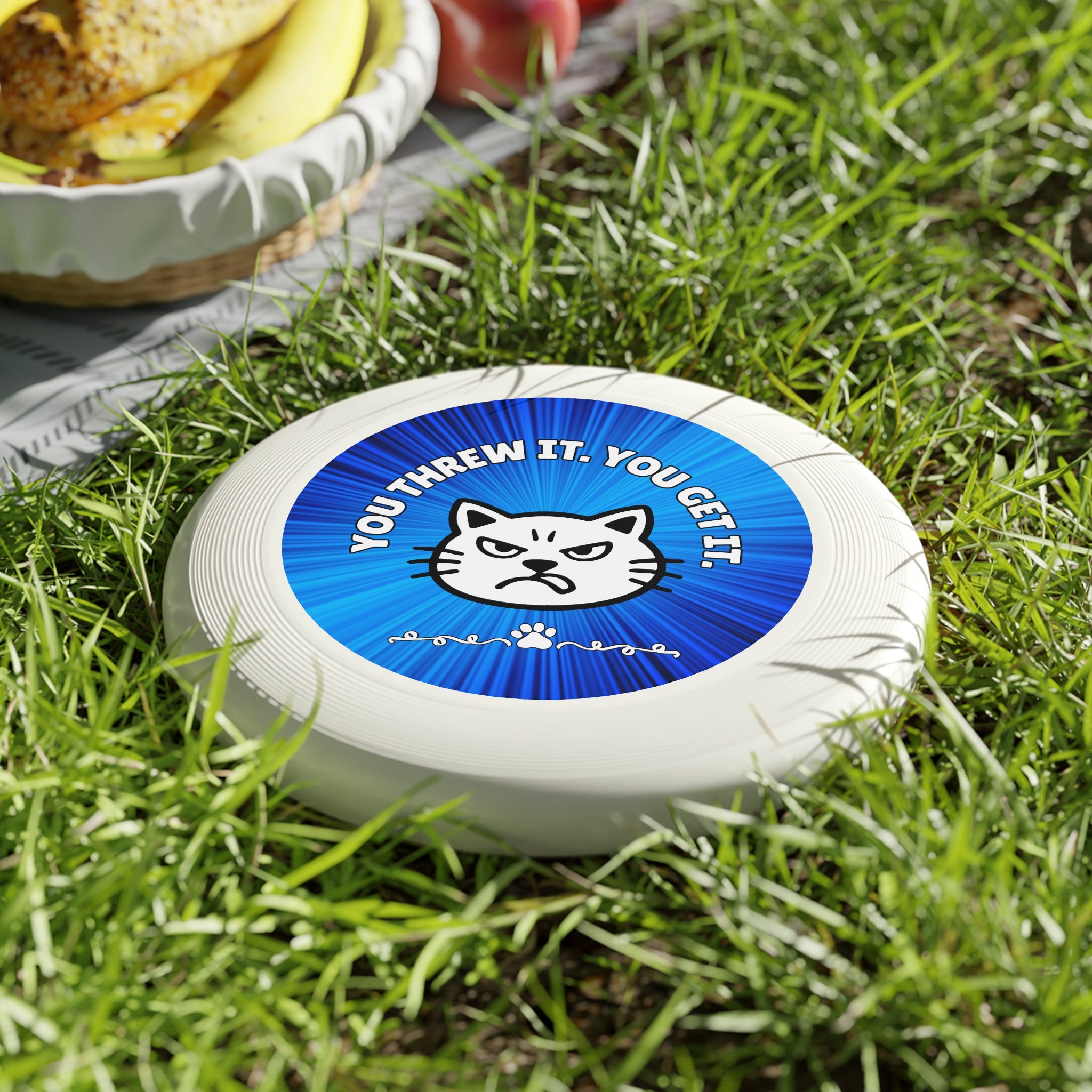 You Threw It. You Get It. Cat Frisbee – Sassy No-Fetch Disc