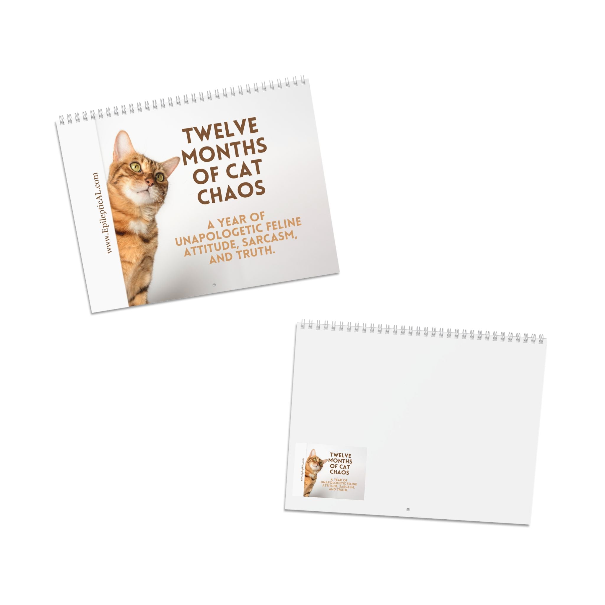 Twelve Months of Cat Chaos 2026 Calendar