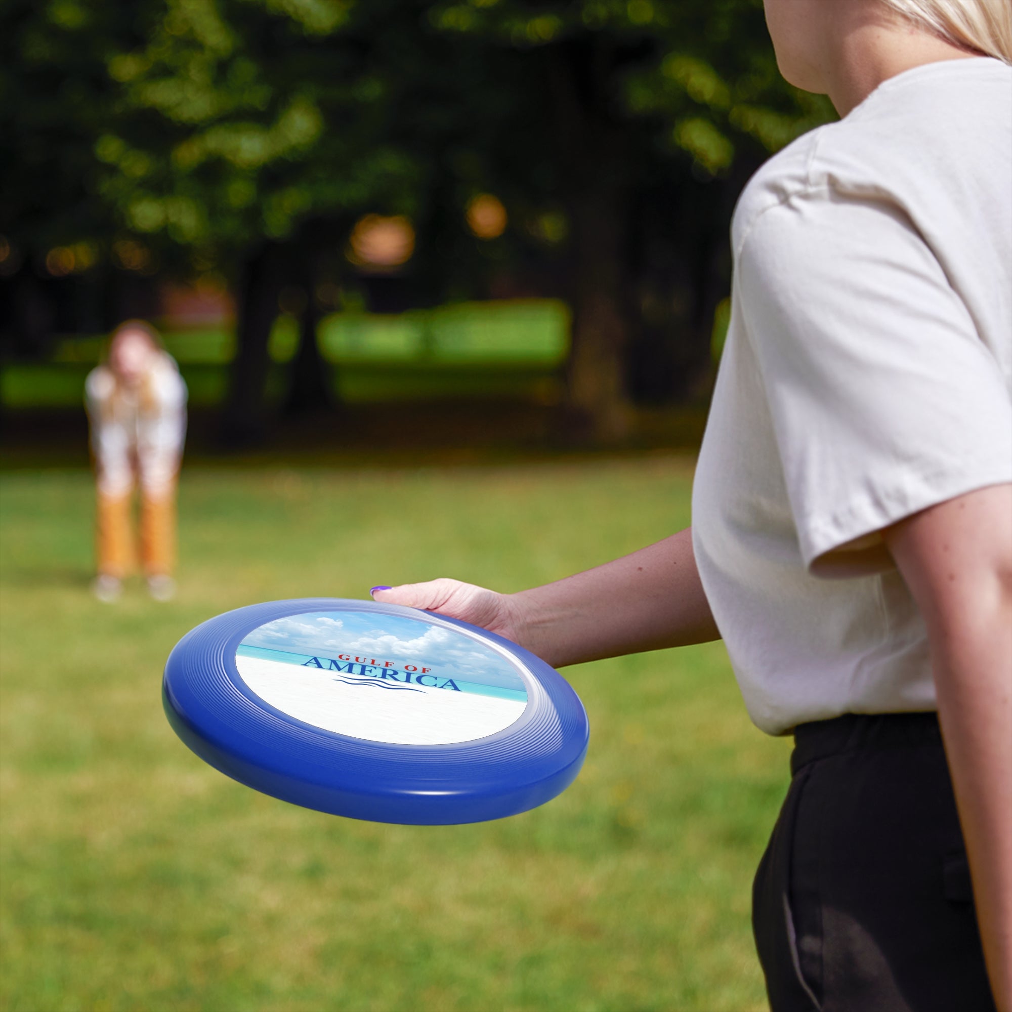 American Gulf Frisbee
