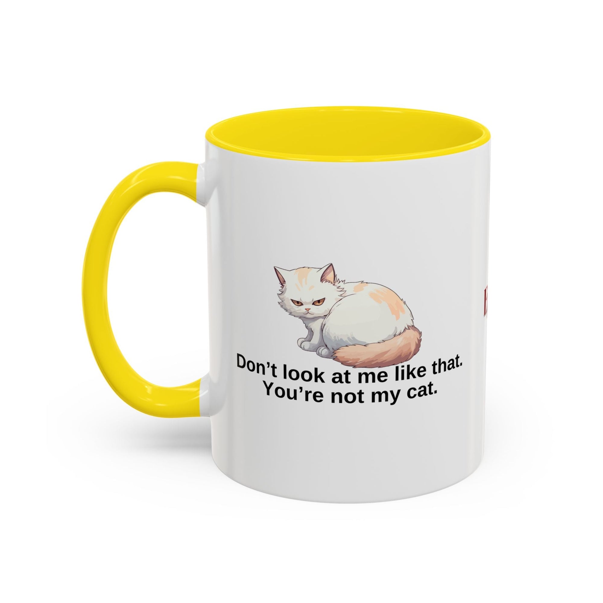 Humorous Cat Lover's Coffee Mug - 11/15oz Accent Mug Printify