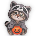 Kitten Dressed as Jimothy Shaped Pillow | Funny Halloween Cat & Raccoon Pillow