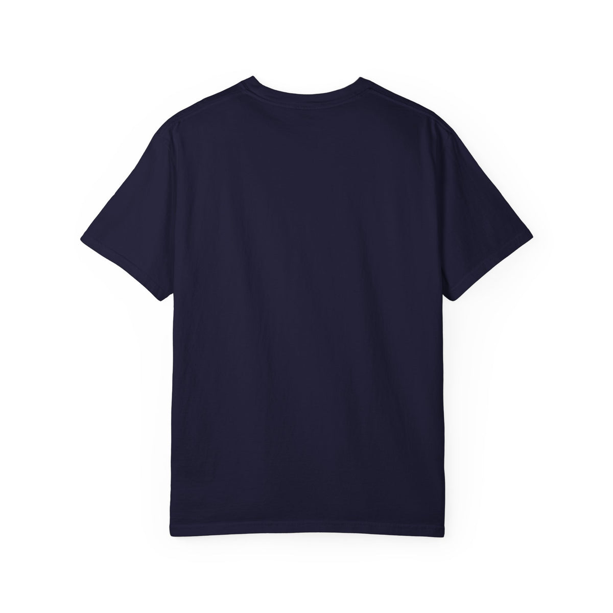 Aquatic Rebranding Department Garment-Dyed Unisex T-Shirt