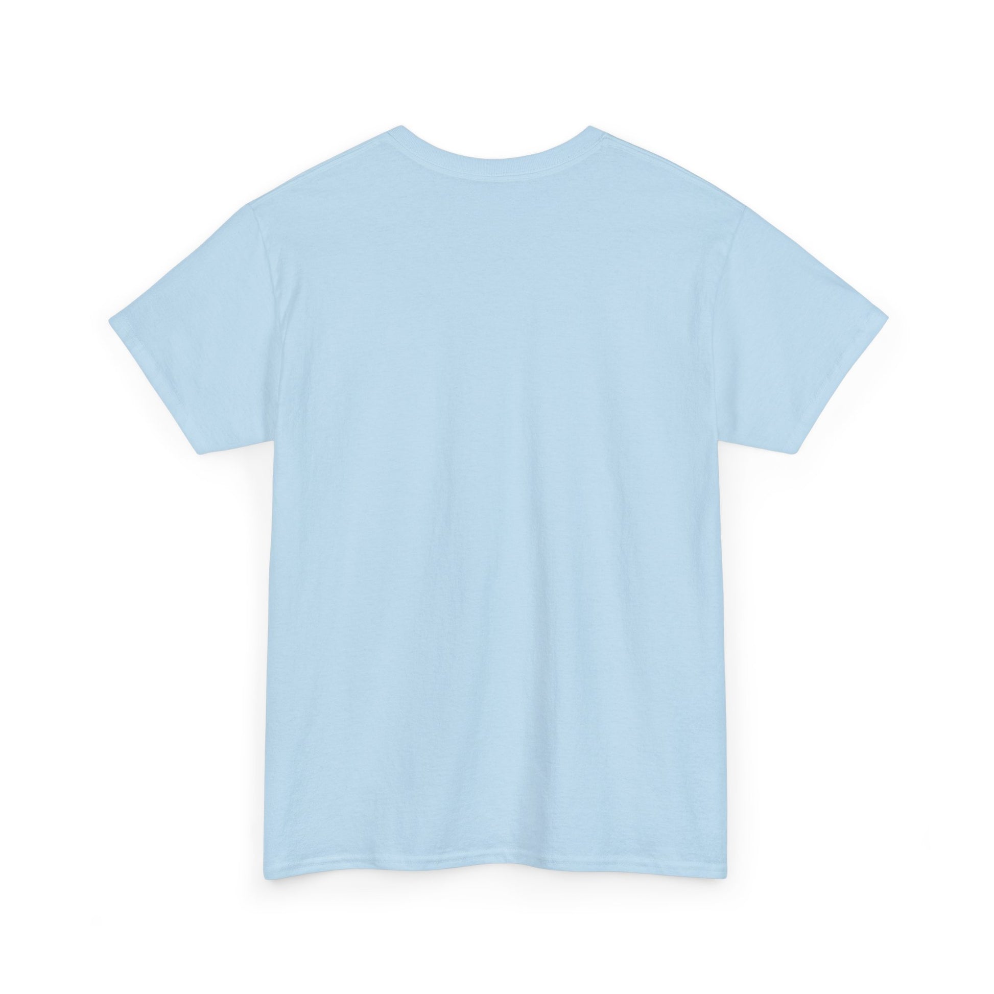 Kitty Lover Pet Care Unisex Heavy Cotton Tee - T - Shirt - Epileptic Al’s Shop