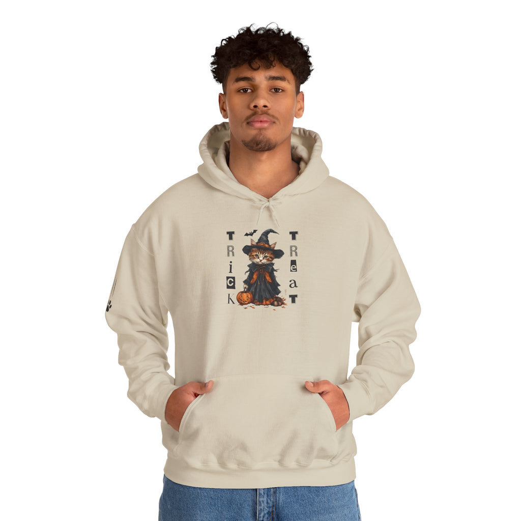 Cozy Halloween Witchy Cat Hoodie