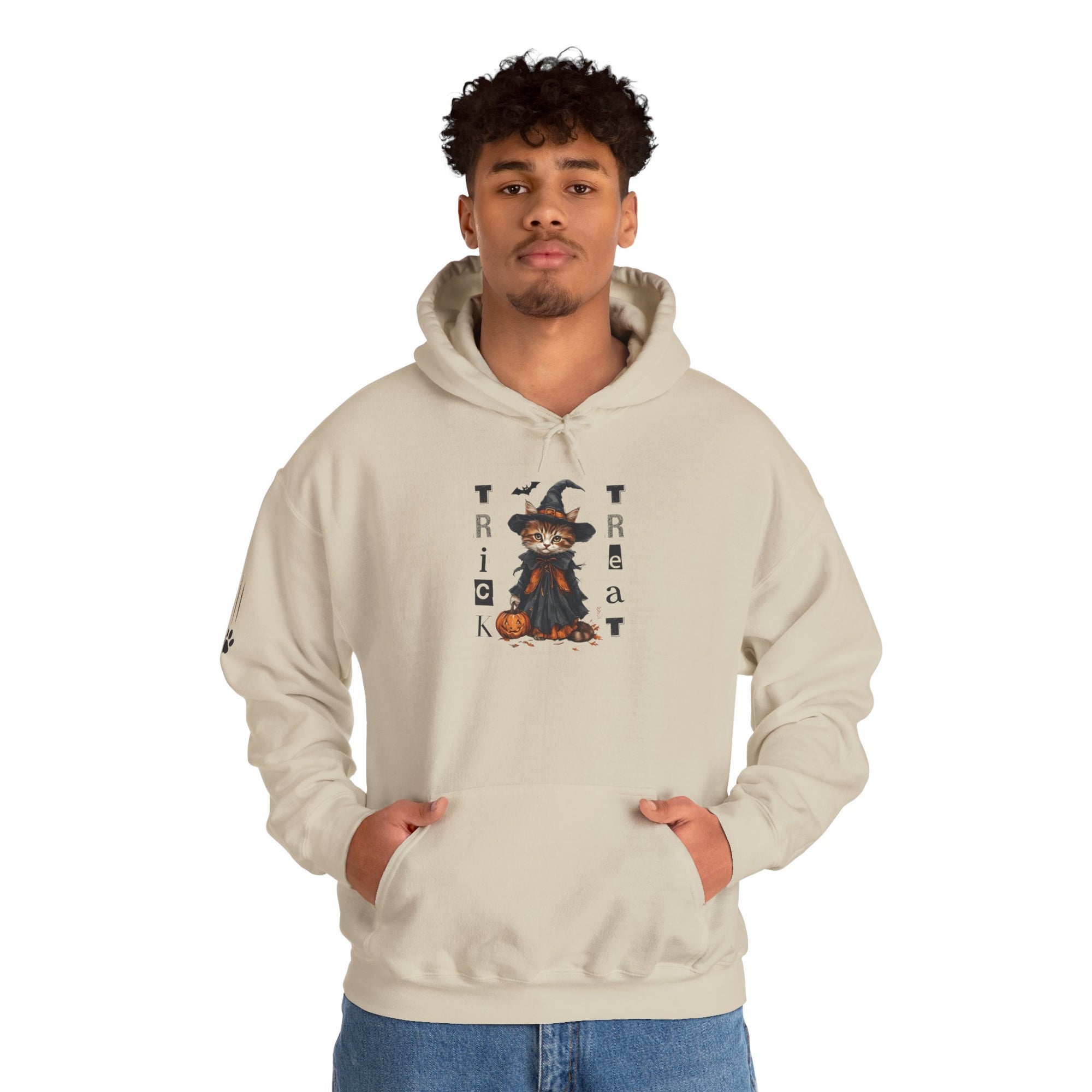 Cozy Halloween Witchy Cat Hoodie