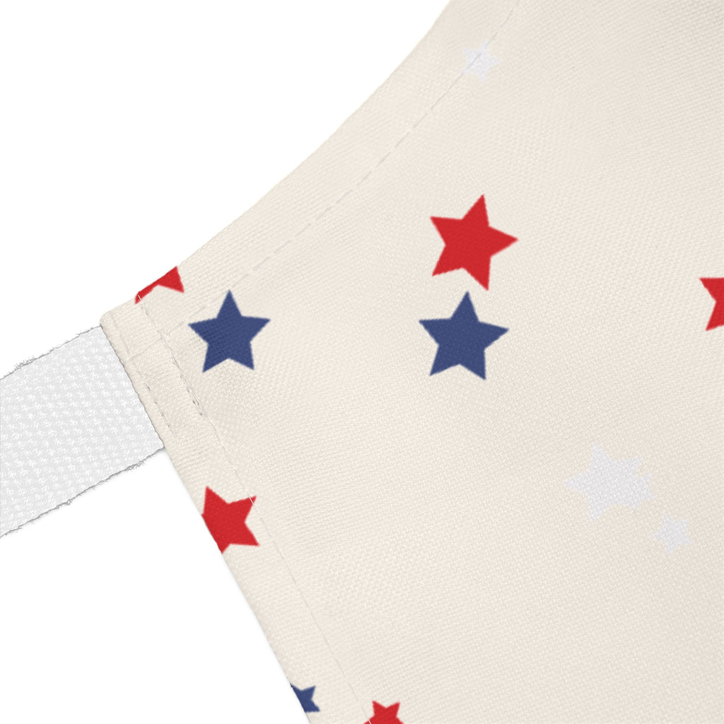 Bureau of Backyard Grilling Patriotic Apron