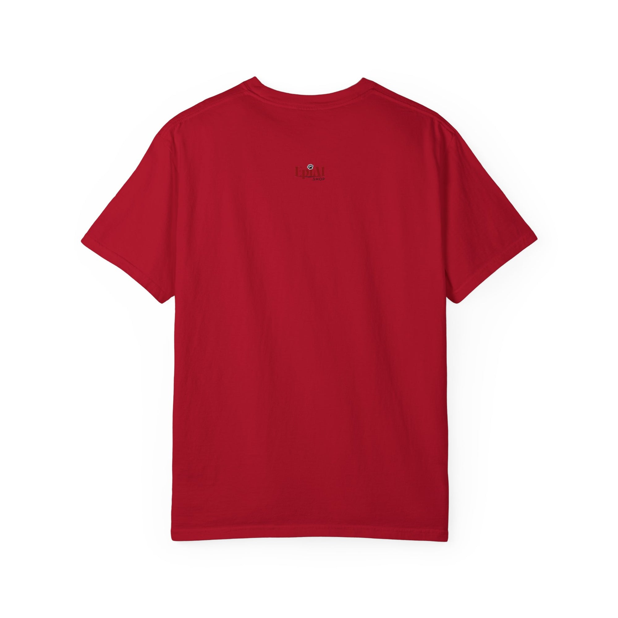 American Gulf Est. 2025 Unisex Garment-Dyed T-Shirt