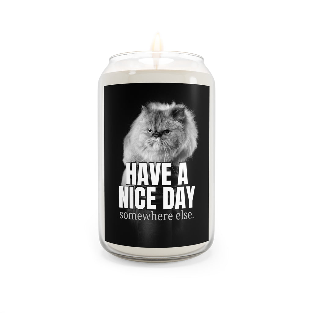 Have a Nice Day Scented Candle, 13.75oz