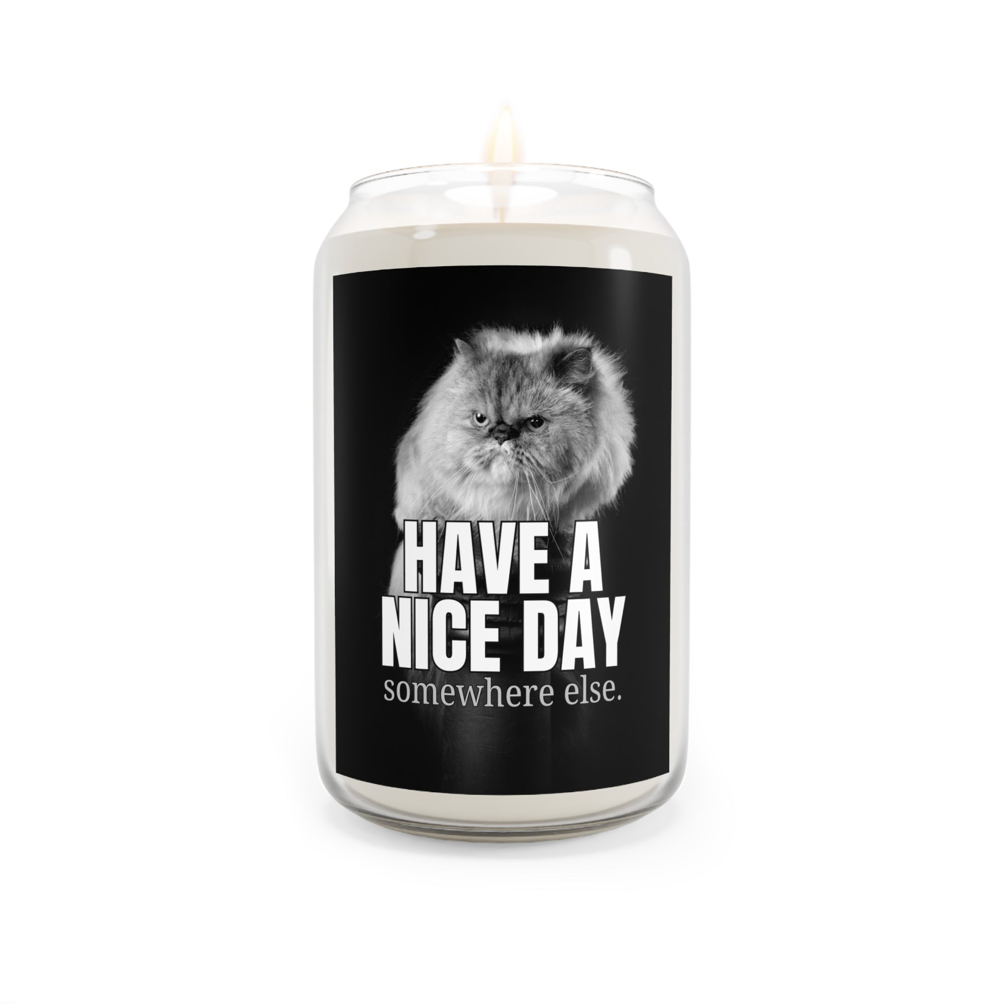 Have a Nice Day Scented Candle, 13.75oz