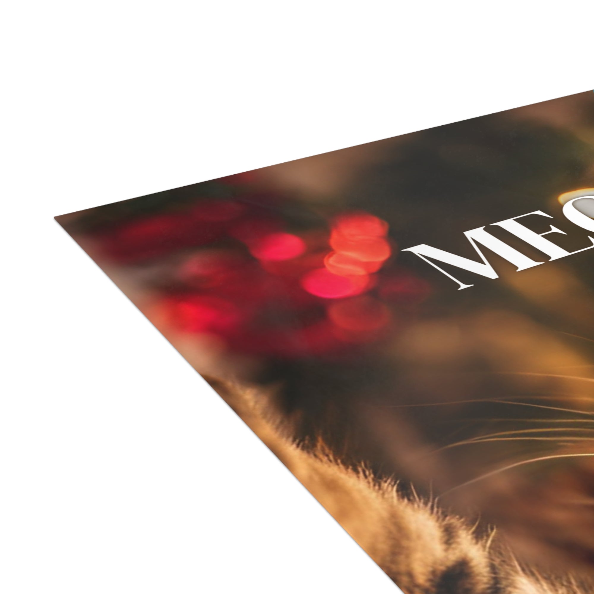 Meowy Christmas Postcard Bundles (envelopes included)