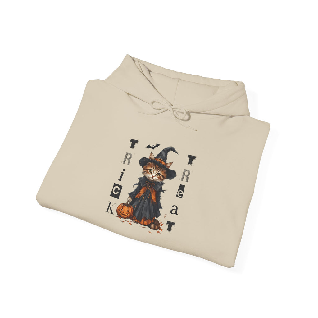 Cozy Halloween Witchy Cat Hoodie