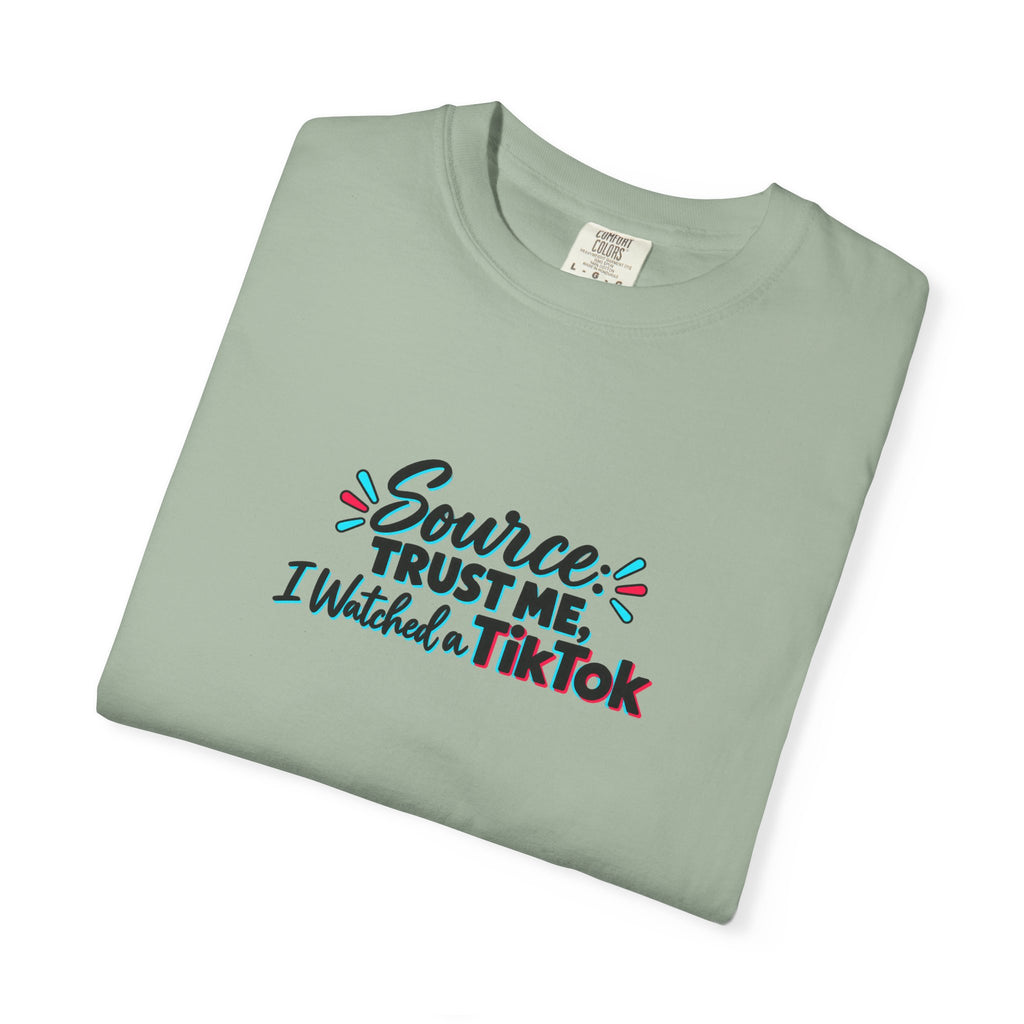 Source: Trust Me, I Watched a TikTok Shirt | Funny Internet Humor Tee