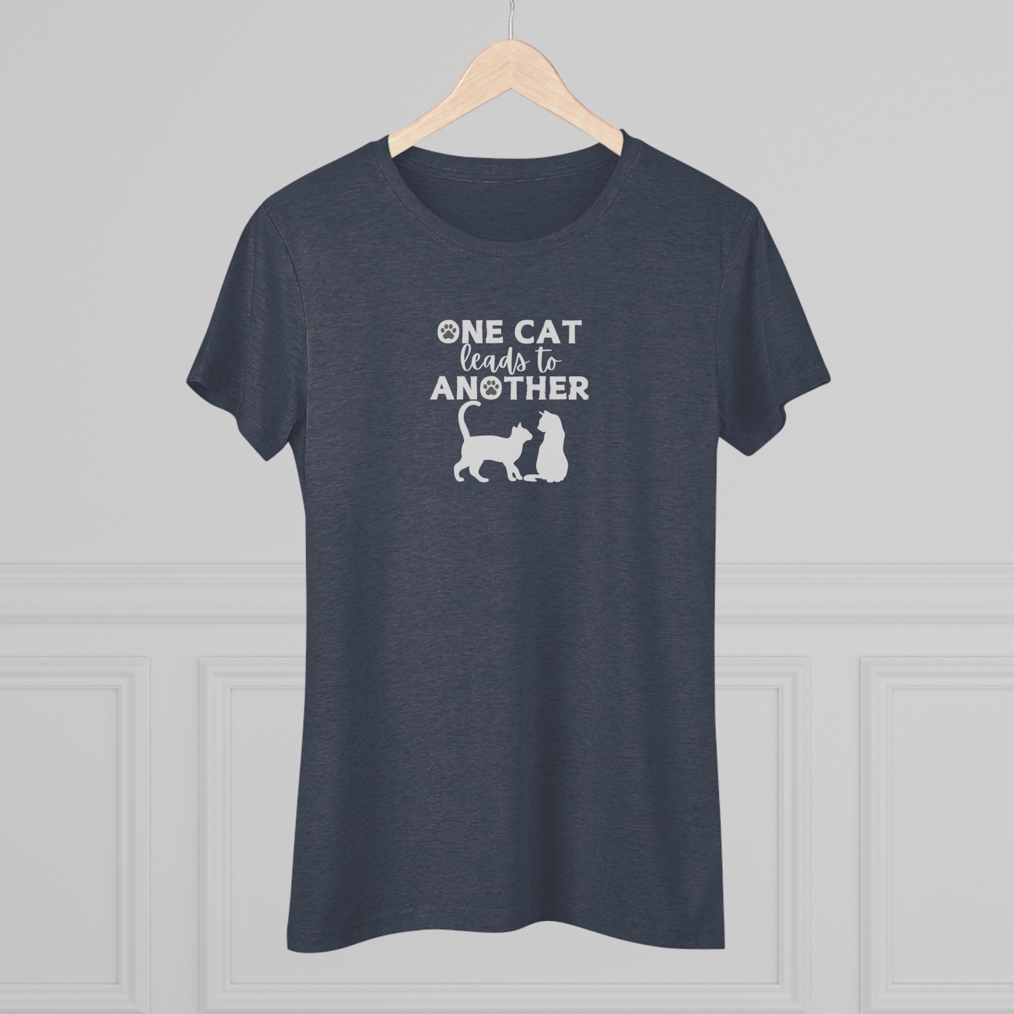 One Cat Women's Triblend Tee - T - Shirt - Epileptic Al’s Shop