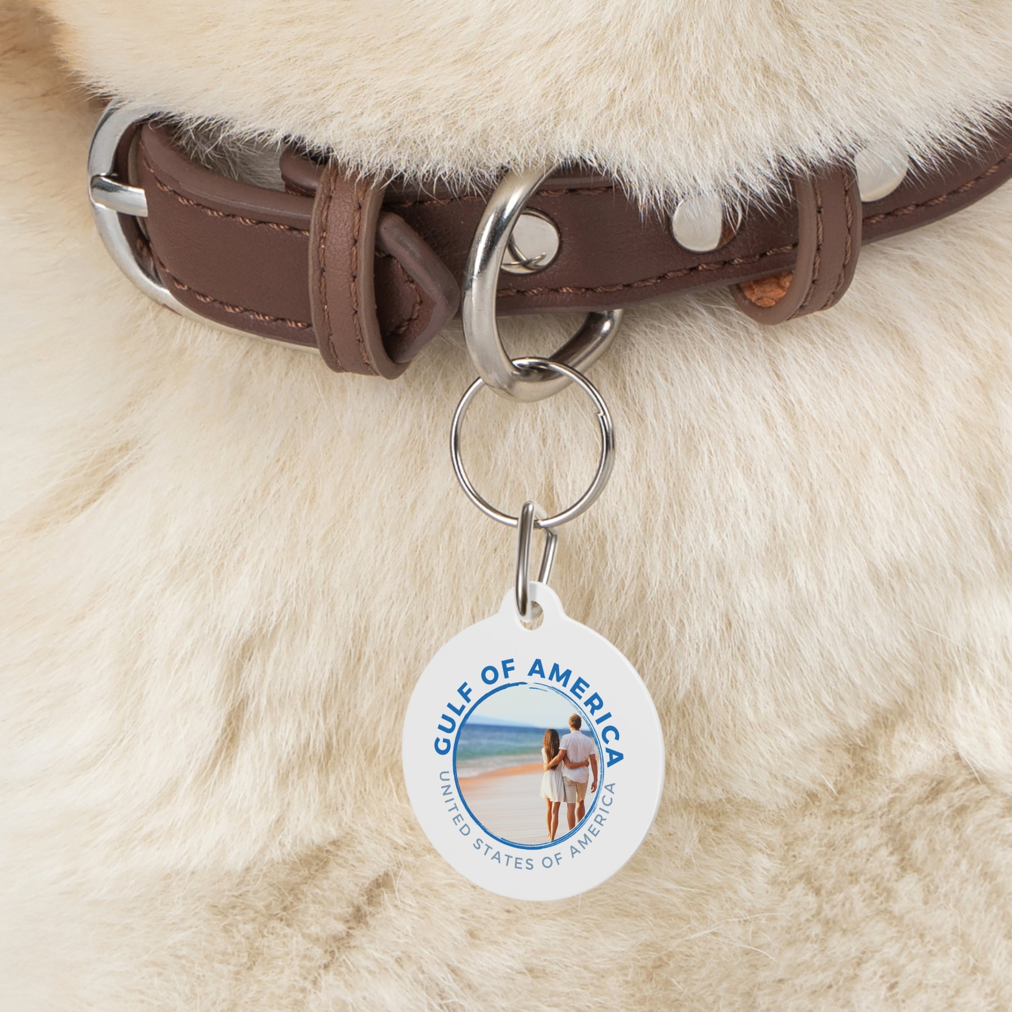 American Gulf Pet Tag