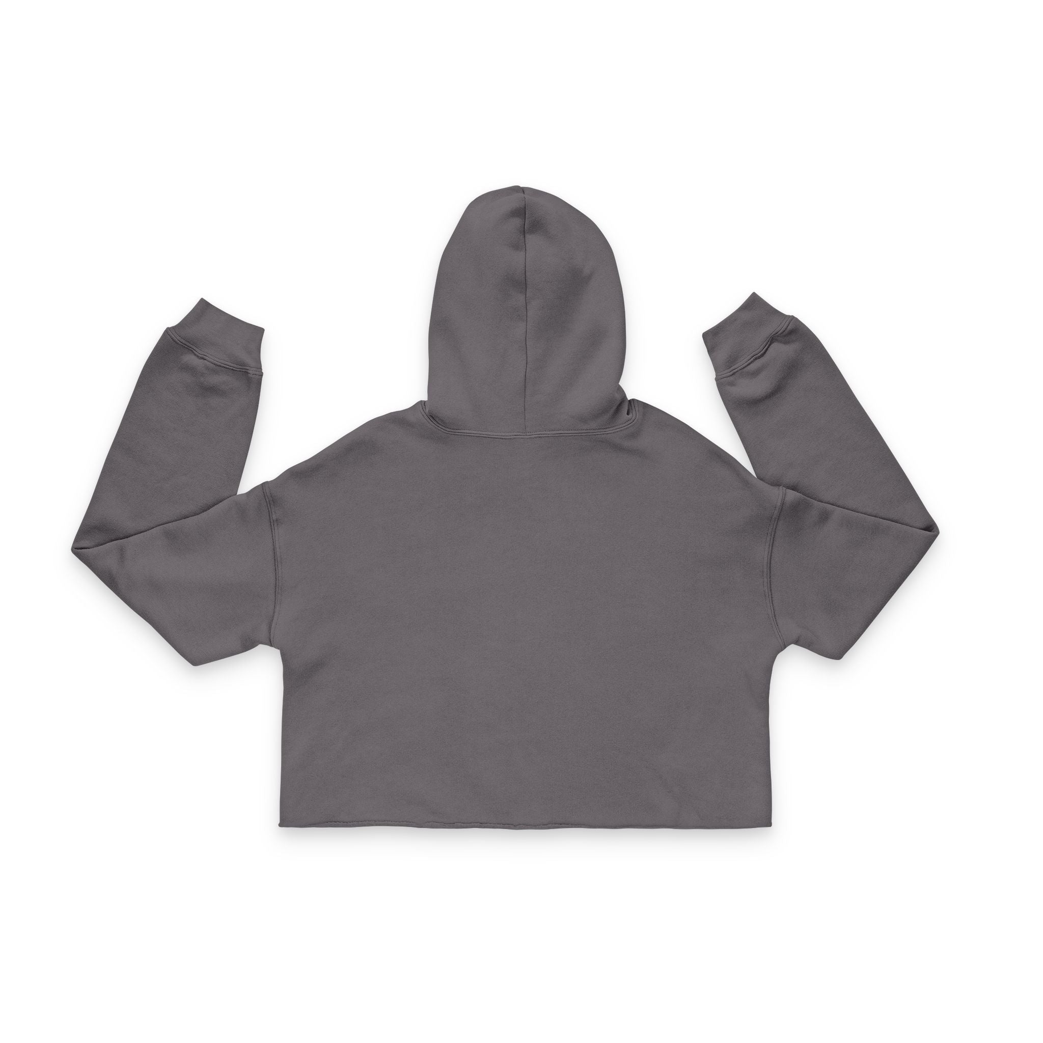 Pumpkin Spice & Feline Spite Cropped Hoodie