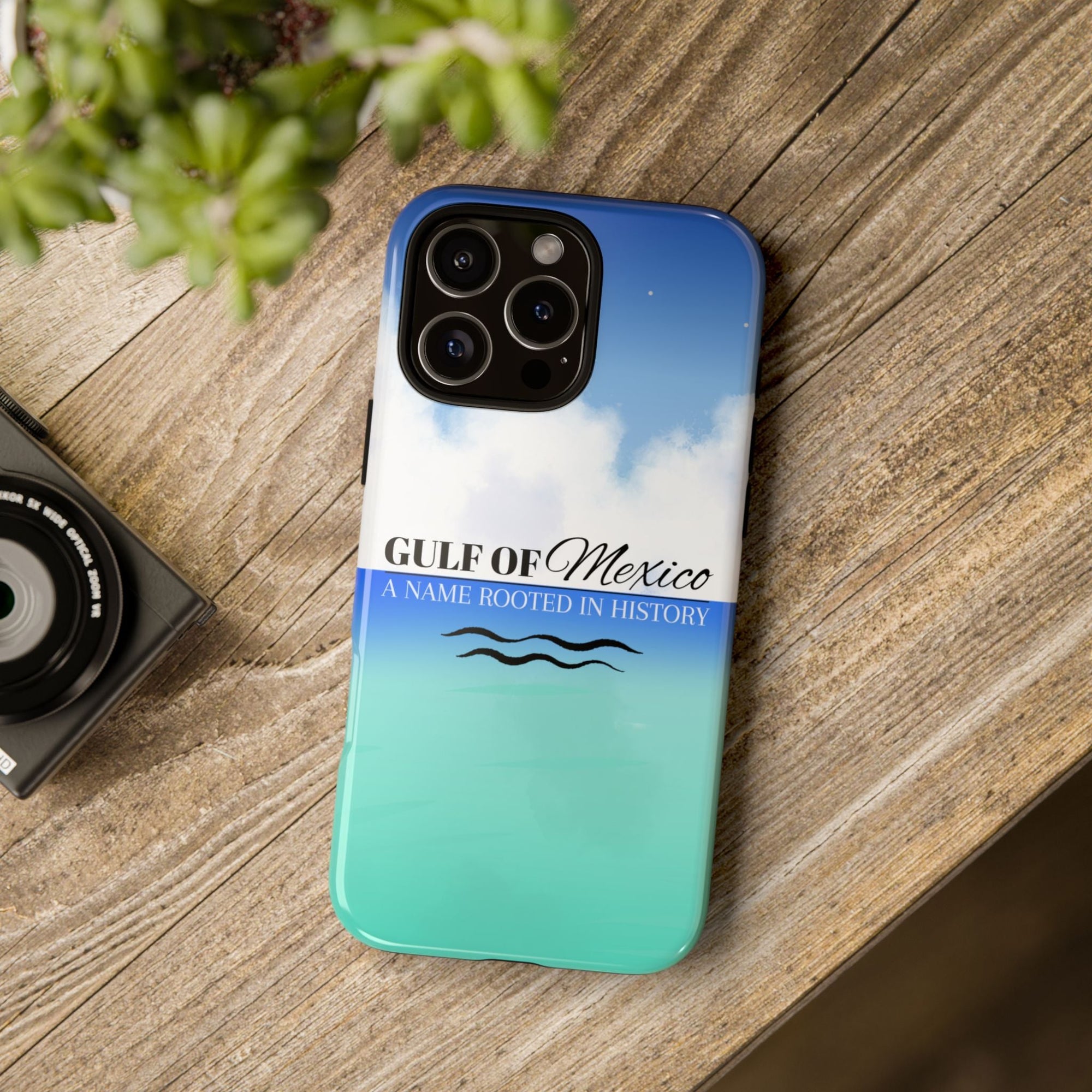 Gulf of Mexico Phone Case Printify