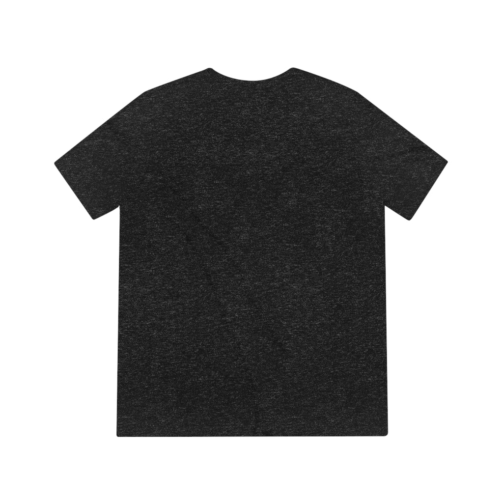 Harmless Cat Lady Triblend Tee - T - Shirt - Epileptic Al’s Shop