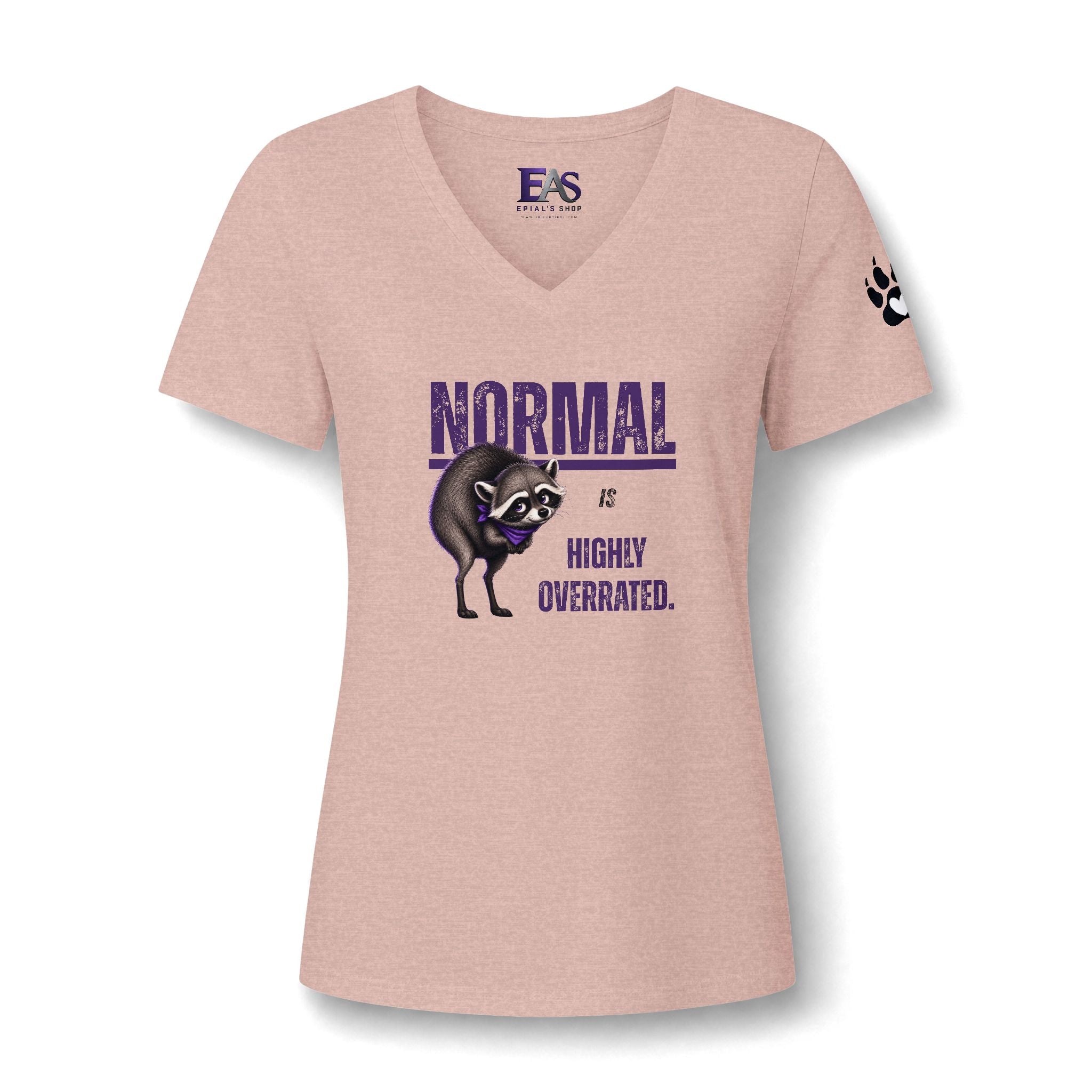 Normal Is Highly Overrated Jimothy Women’s V-Neck T-Shirt