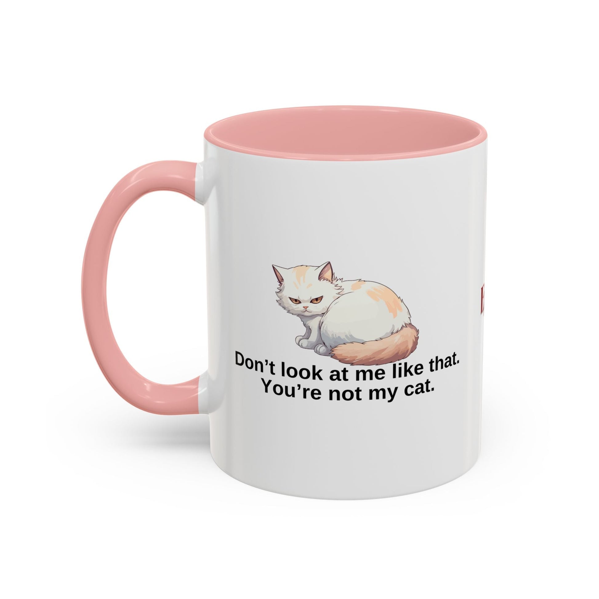 Humorous Cat Lover's Coffee Mug - 11/15oz Accent Mug Printify