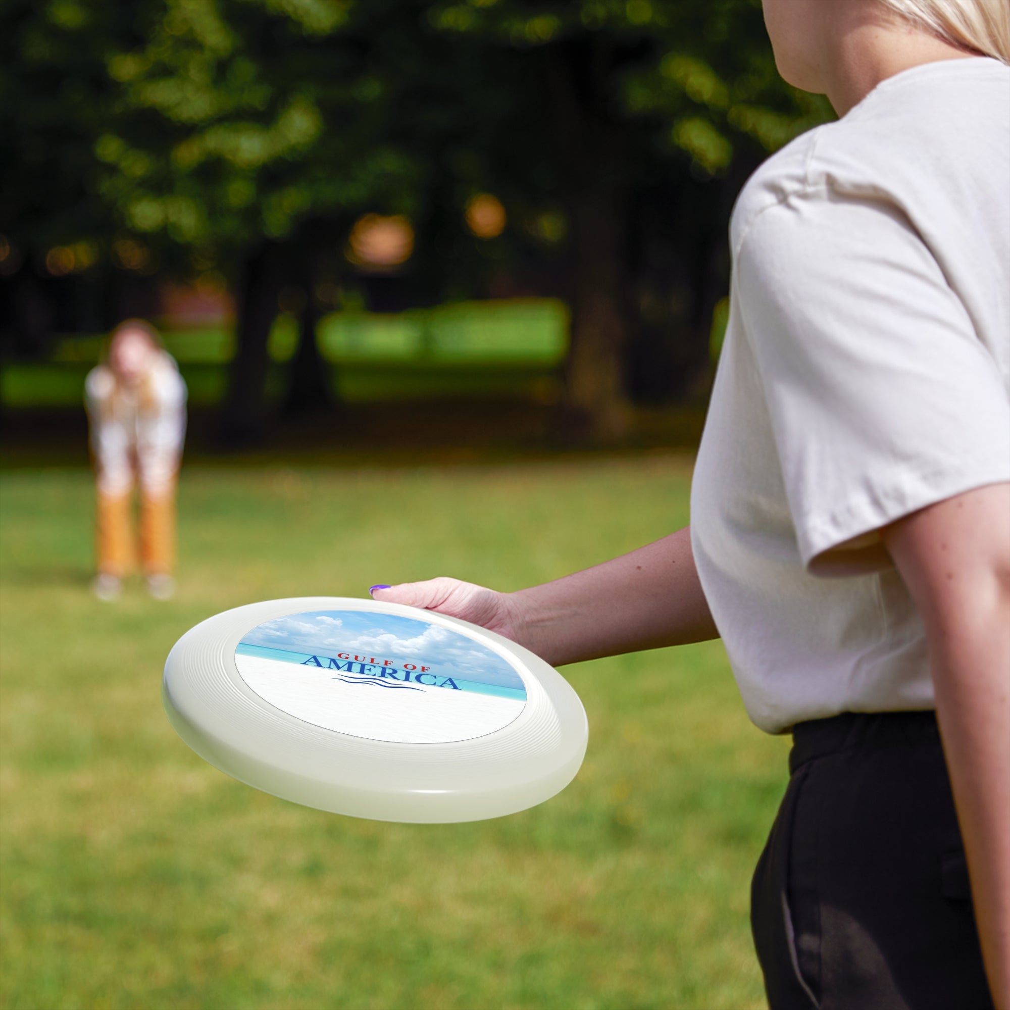 American Gulf Frisbee