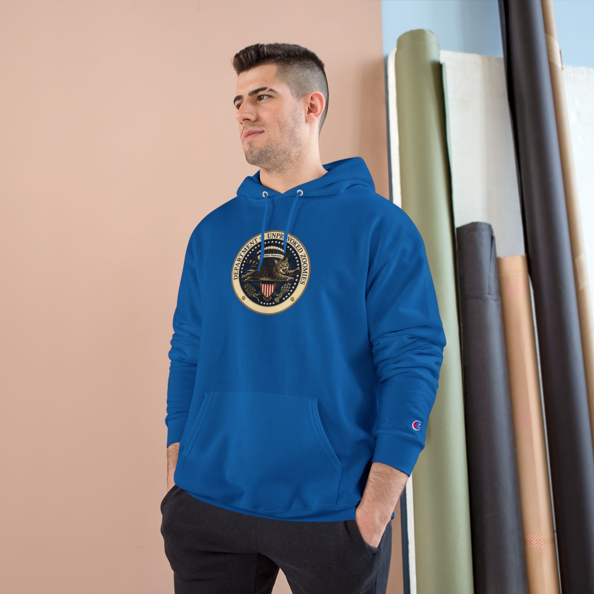 Department of Unprovoked Zoomies Champion Hoodie | Funny Cat Seal Sweatshirt