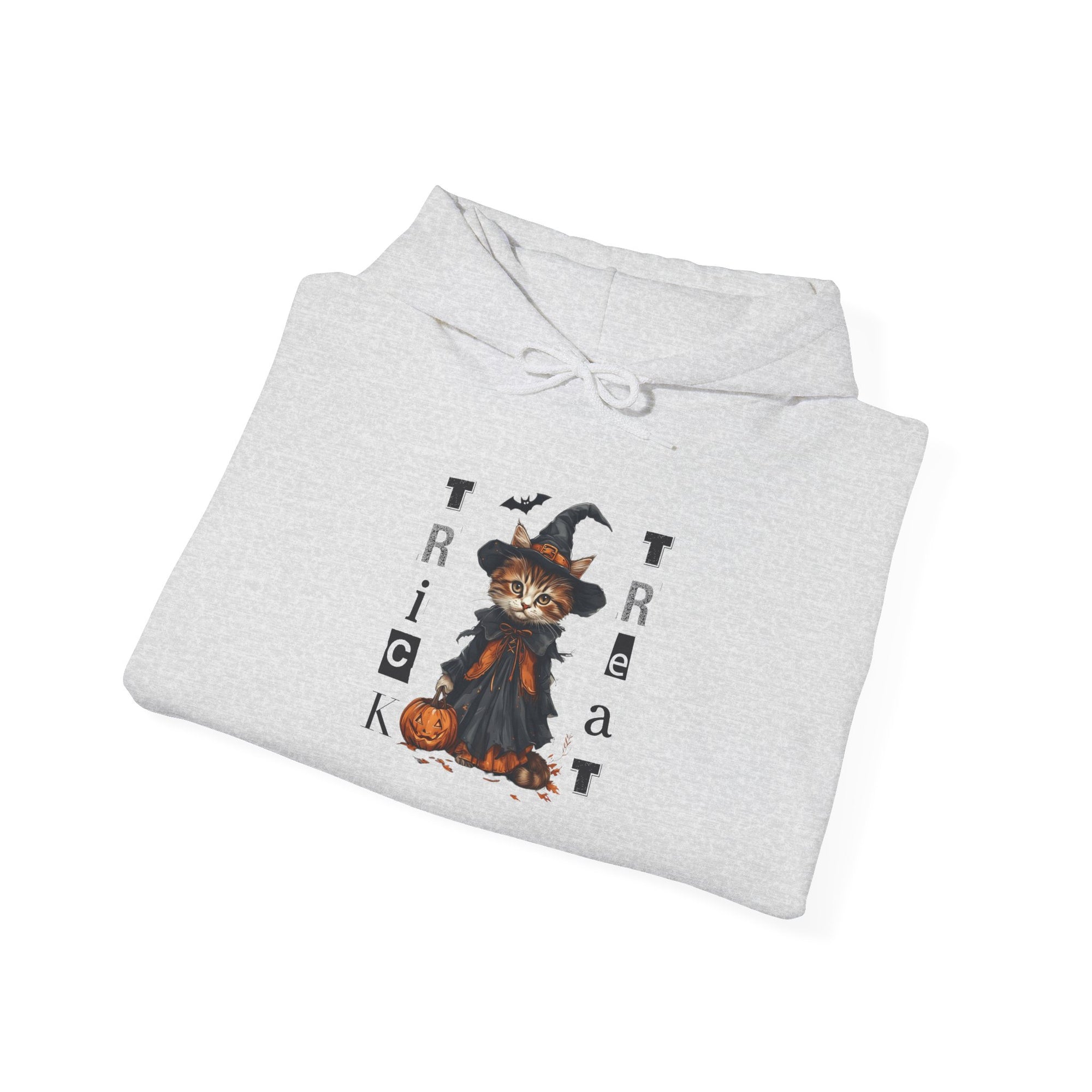 Cozy Halloween Witchy Cat Hoodie