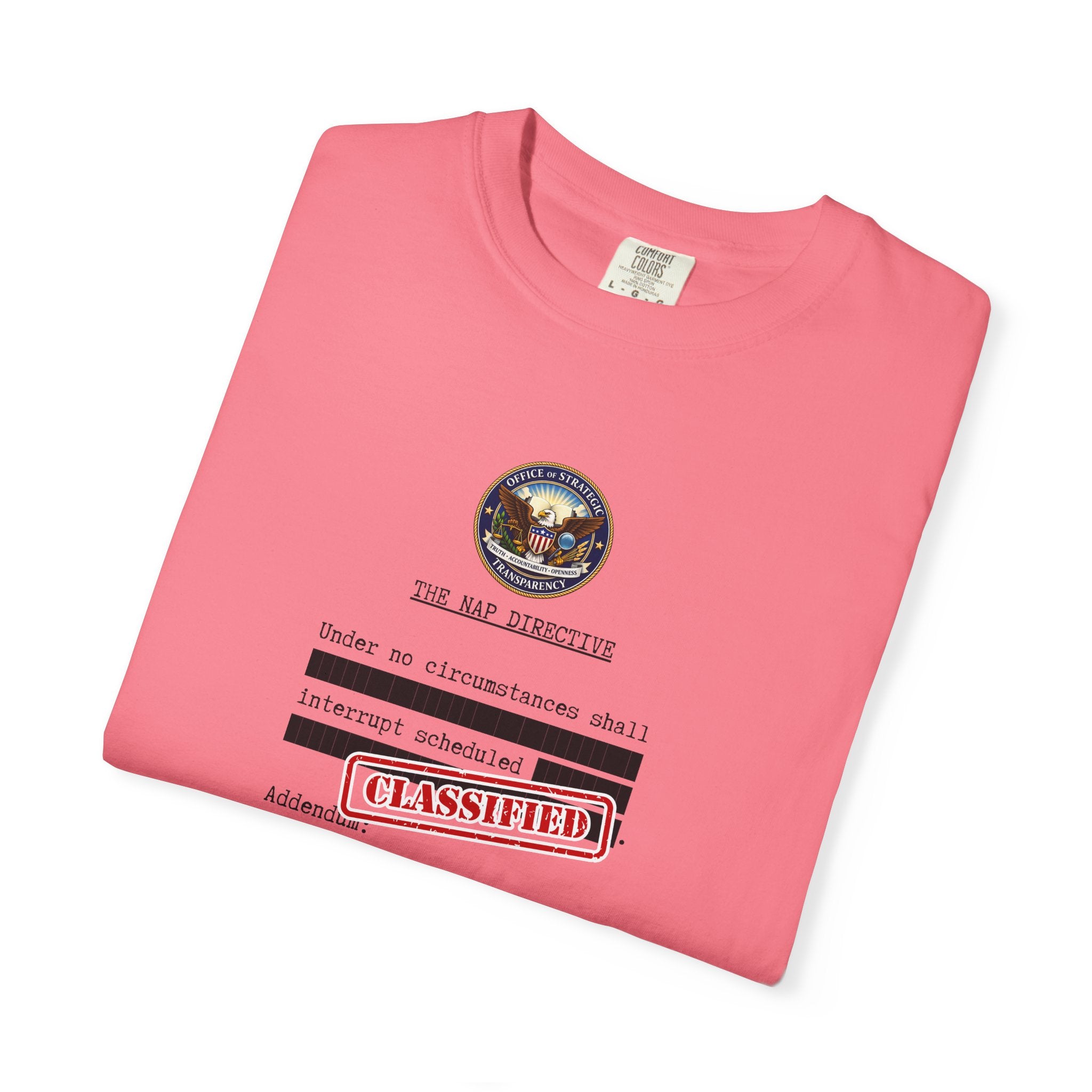 The Nap Directive Unisex T-Shirt – Official Rest Policy Graphic Tee