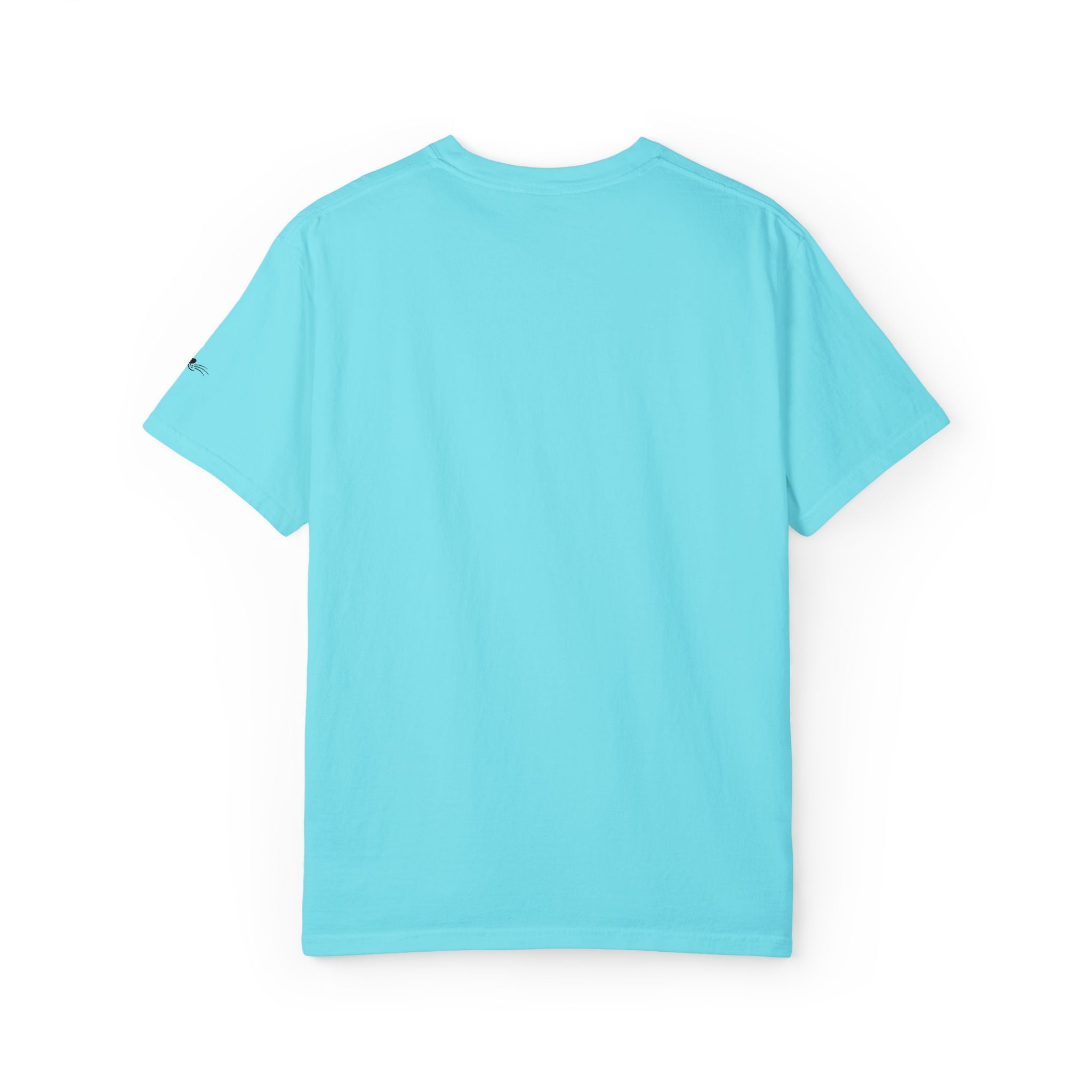 My Supervisor Has Whiskers Embroidered Comfort Colors T-Shirt