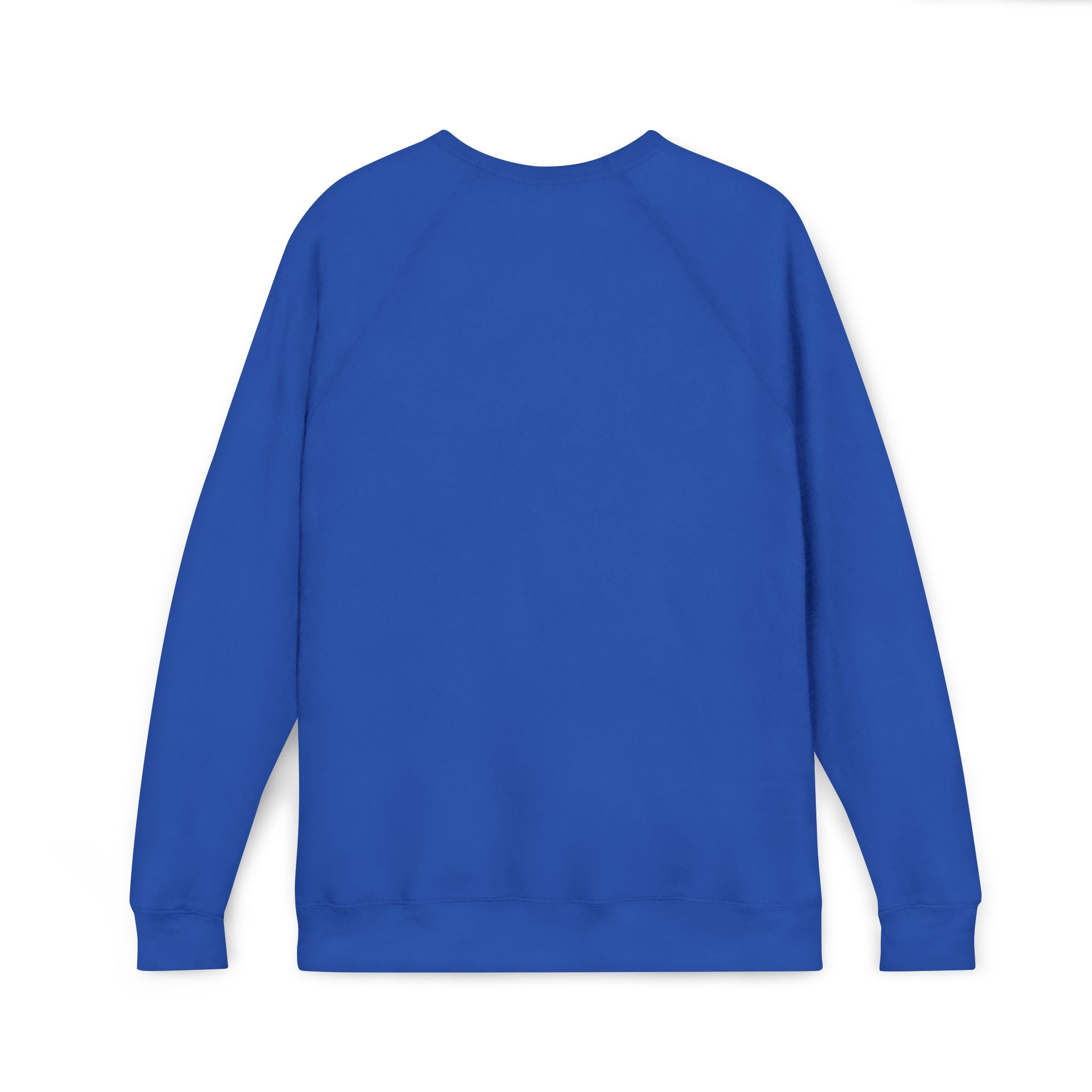 Mildly Possessed Black Cat Raglan Sweatshirt