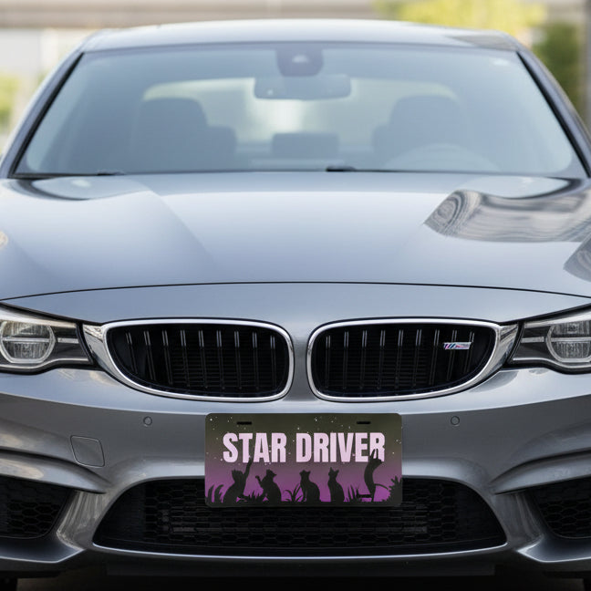 “Star Driver” Night Watchers Decorative Vanity Plate – 12" × 6"