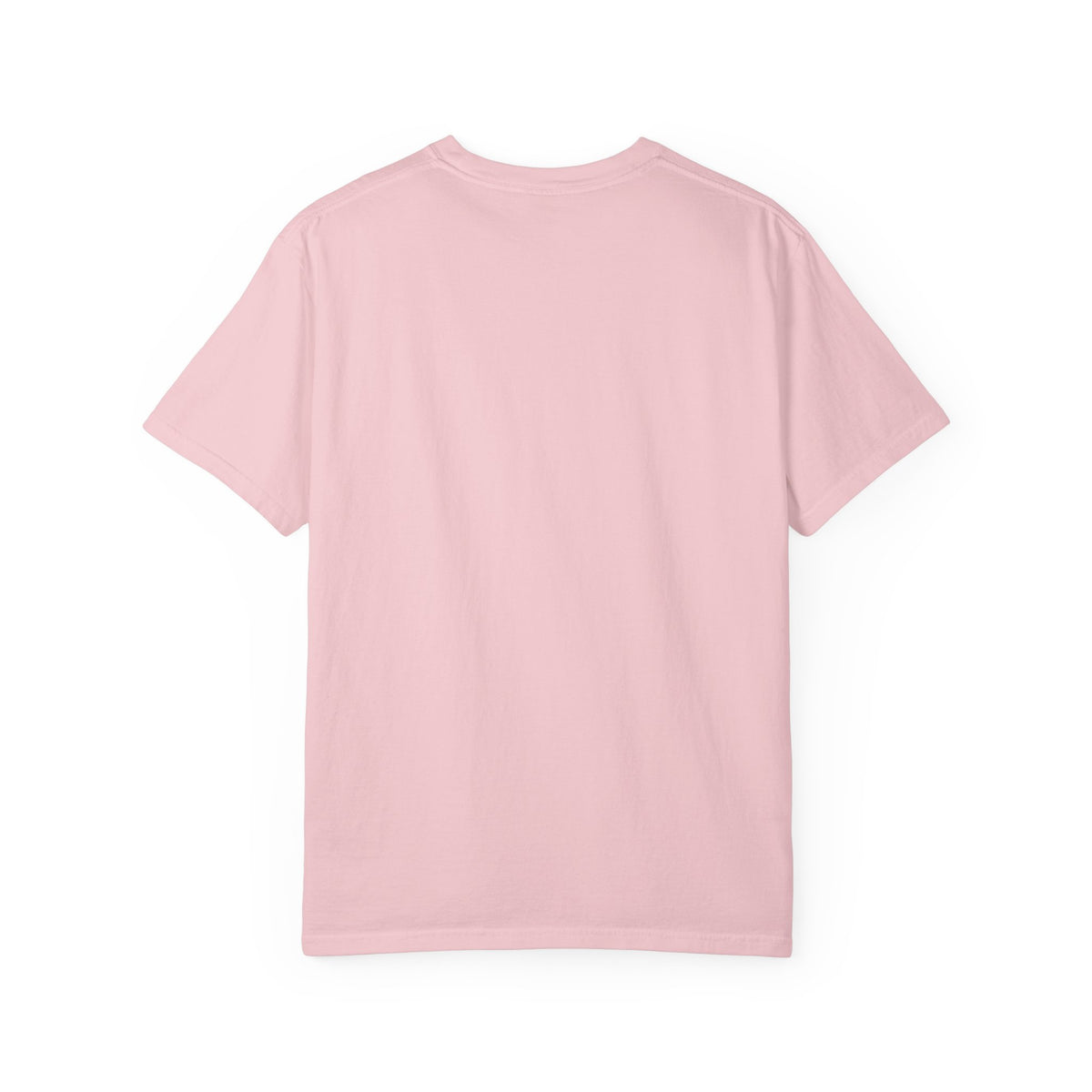Aquatic Rebranding Department Garment-Dyed Unisex T-Shirt