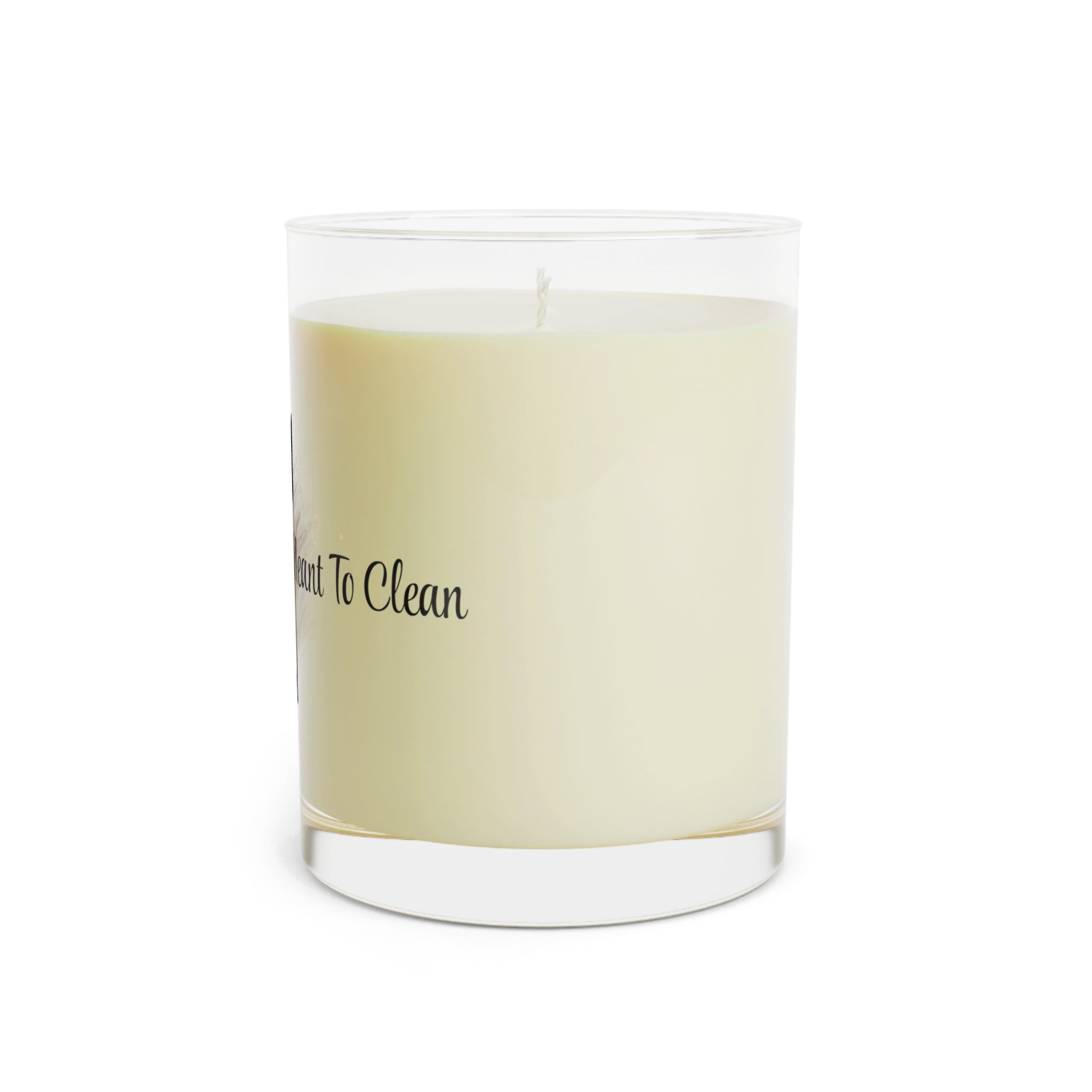 Smells Like I Meant To Clean – Funny Cat Lover Glass Candle