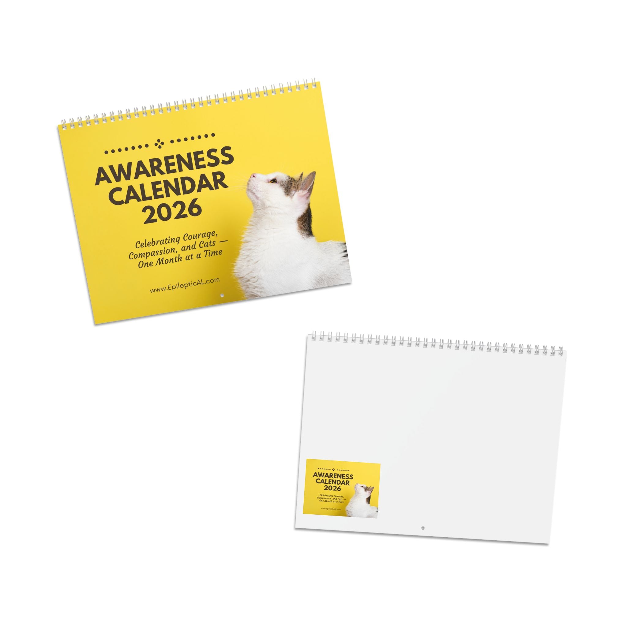 2026 Awareness Calendar: Monthly Inspirational Themes for Wellness & Growth