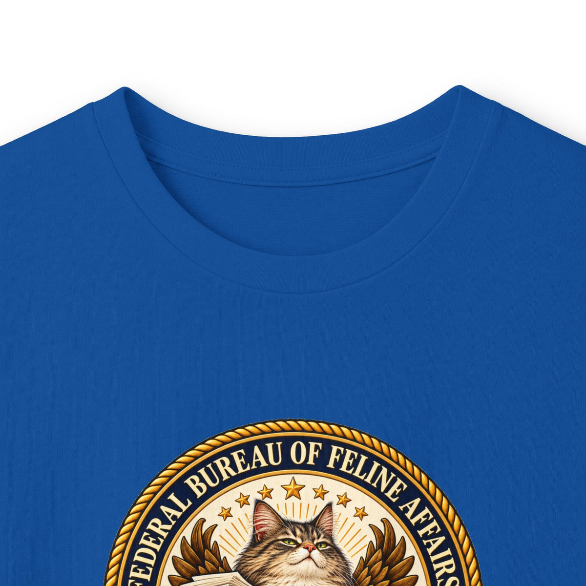 Federal Bureau of Feline Affairs Long Sleeve Shirt | Funny Cat Government Parody Tee