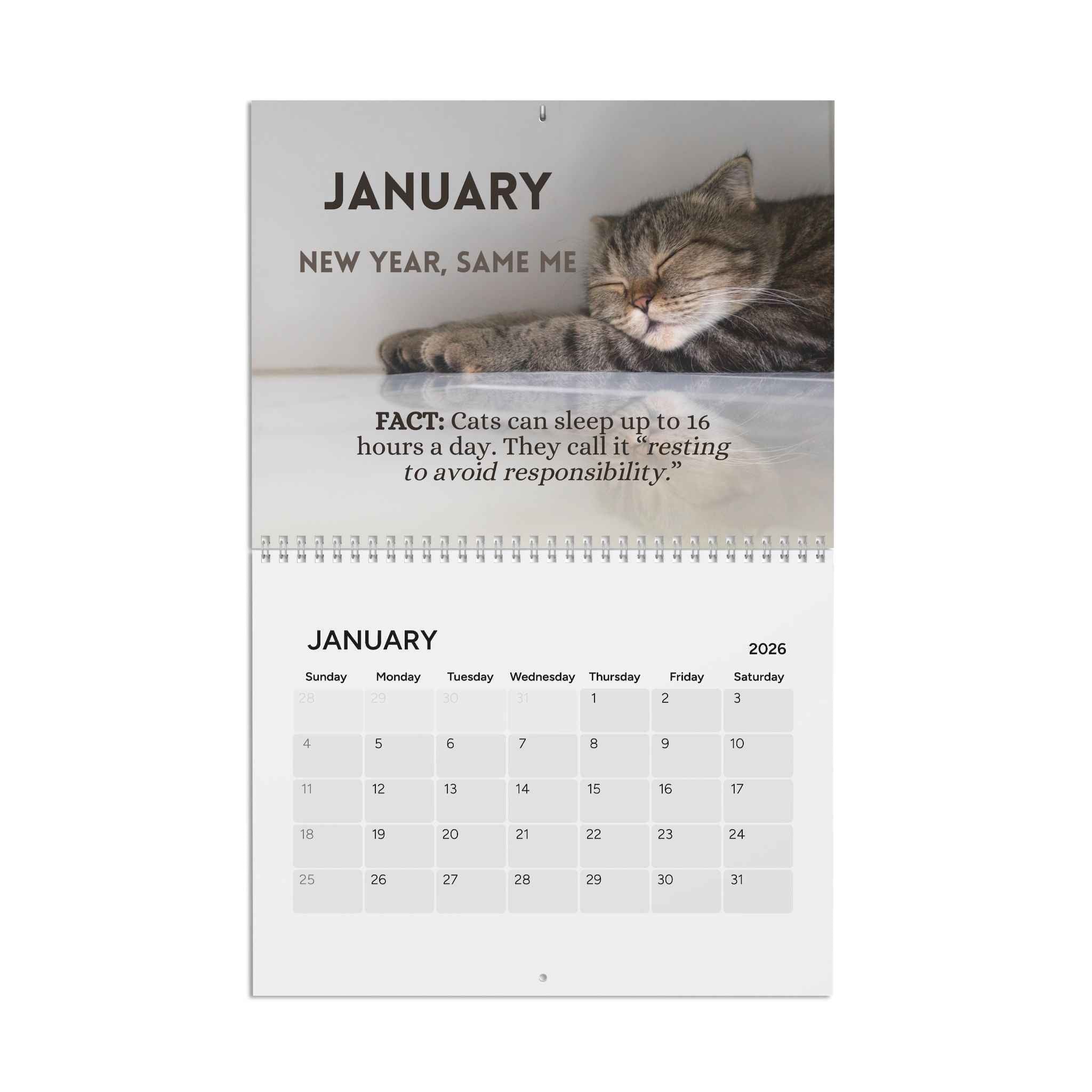 Twelve Months of Cat Chaos 2026 Calendar