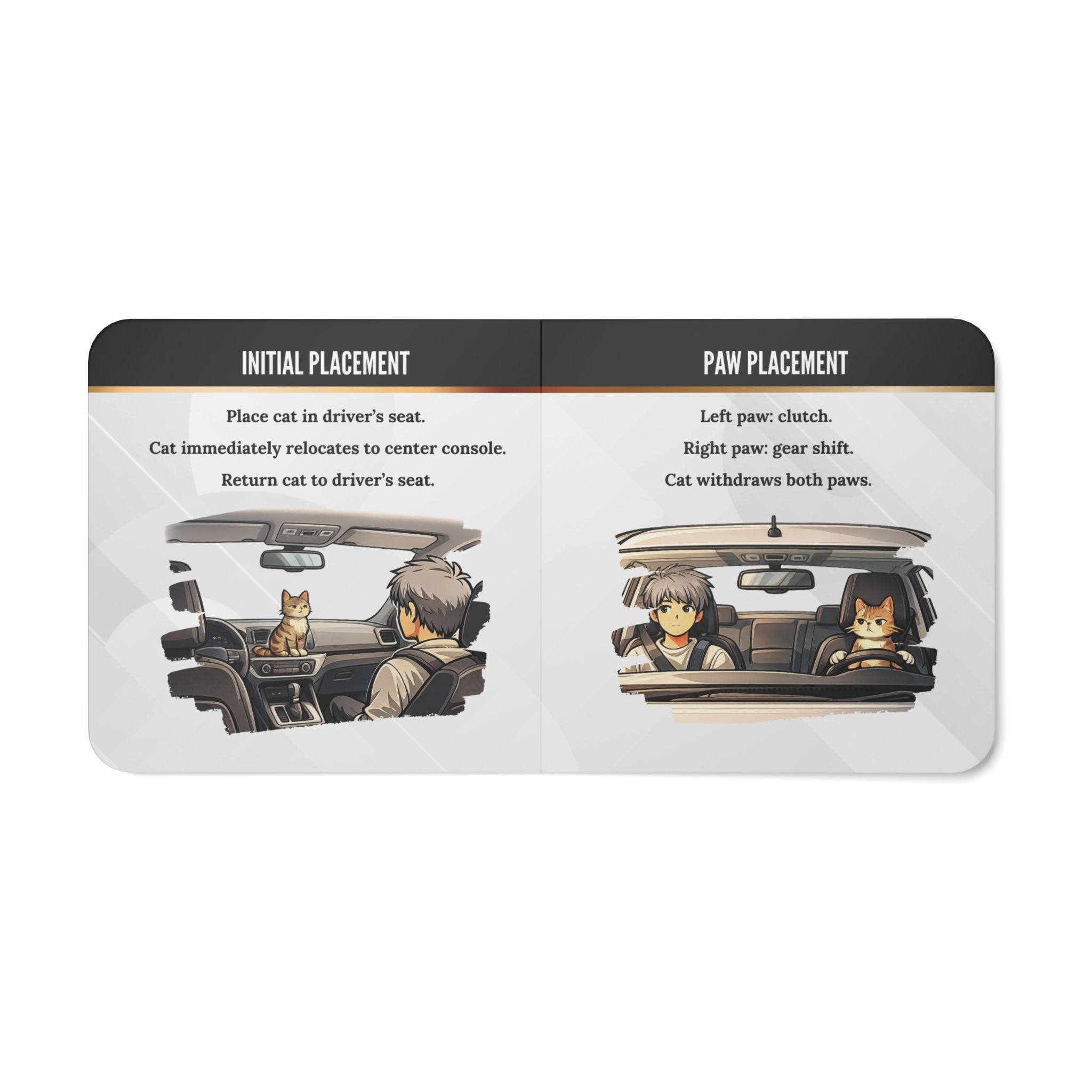 How to Teach Your Cat to Drive Stick | Absurd Board Book for Adults