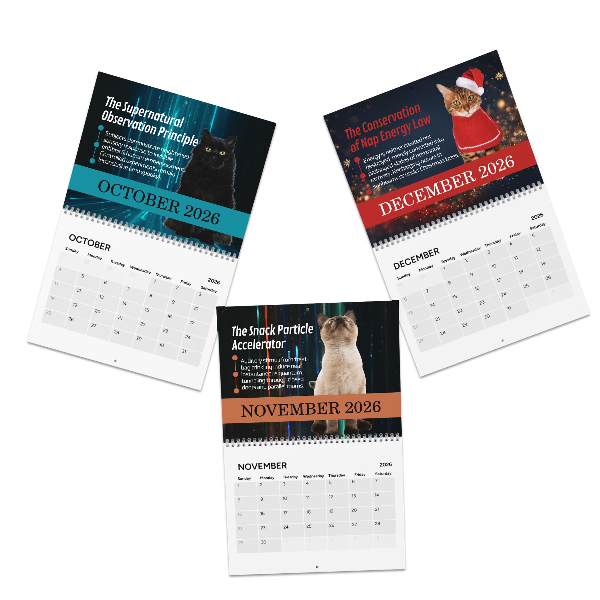 Paws & Effect: The Science of Cat Logic 2026 Calendar