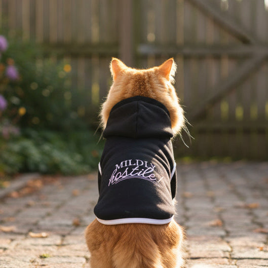 Mildly Hostile Cat Hoodie – Black (Funny Cat Apparel)