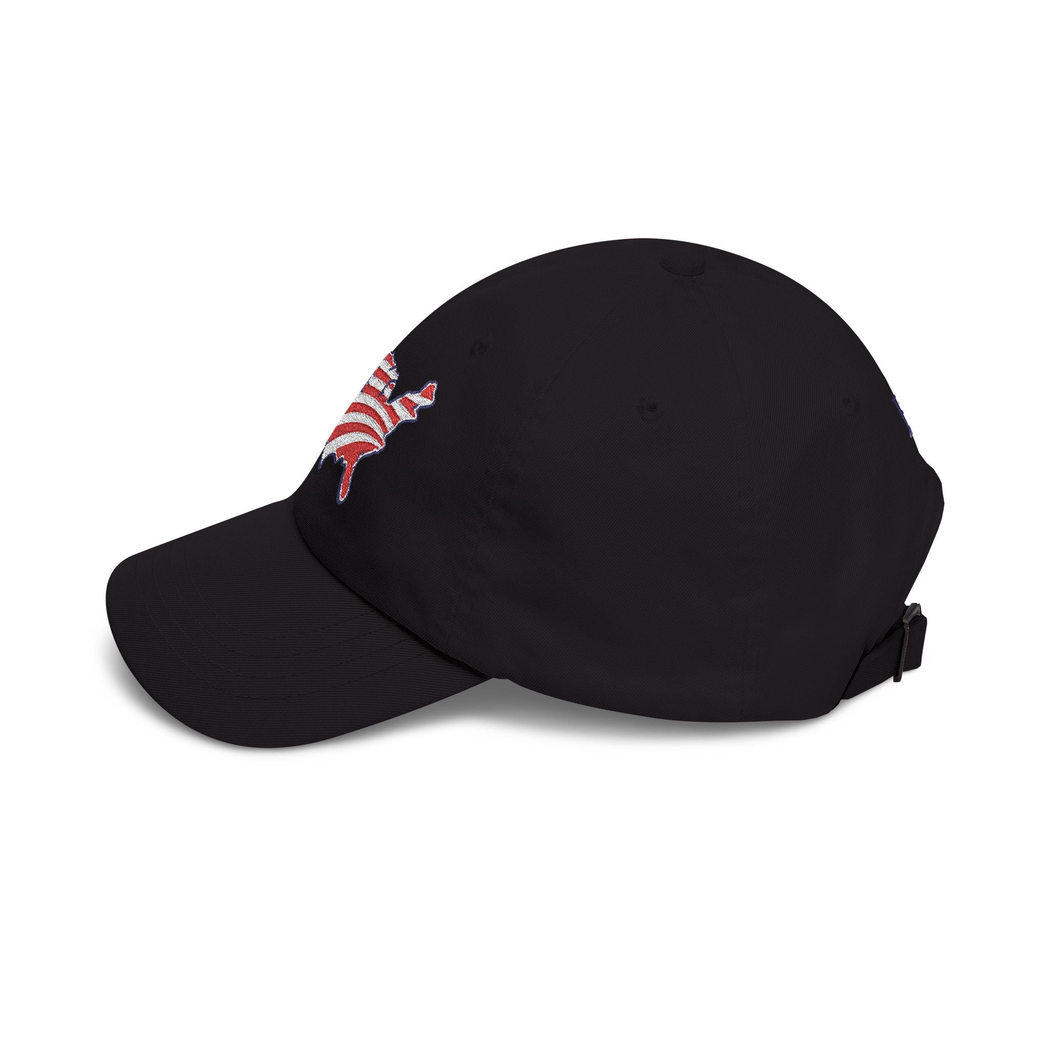 USA Map Embroidered Hat – Patriotic Political Parody Cap