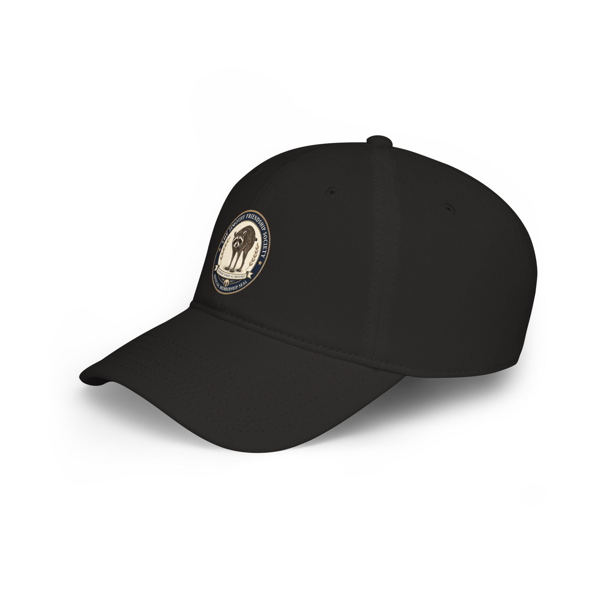 Jimothy Friendship Society Low-Profile Cotton Cap
