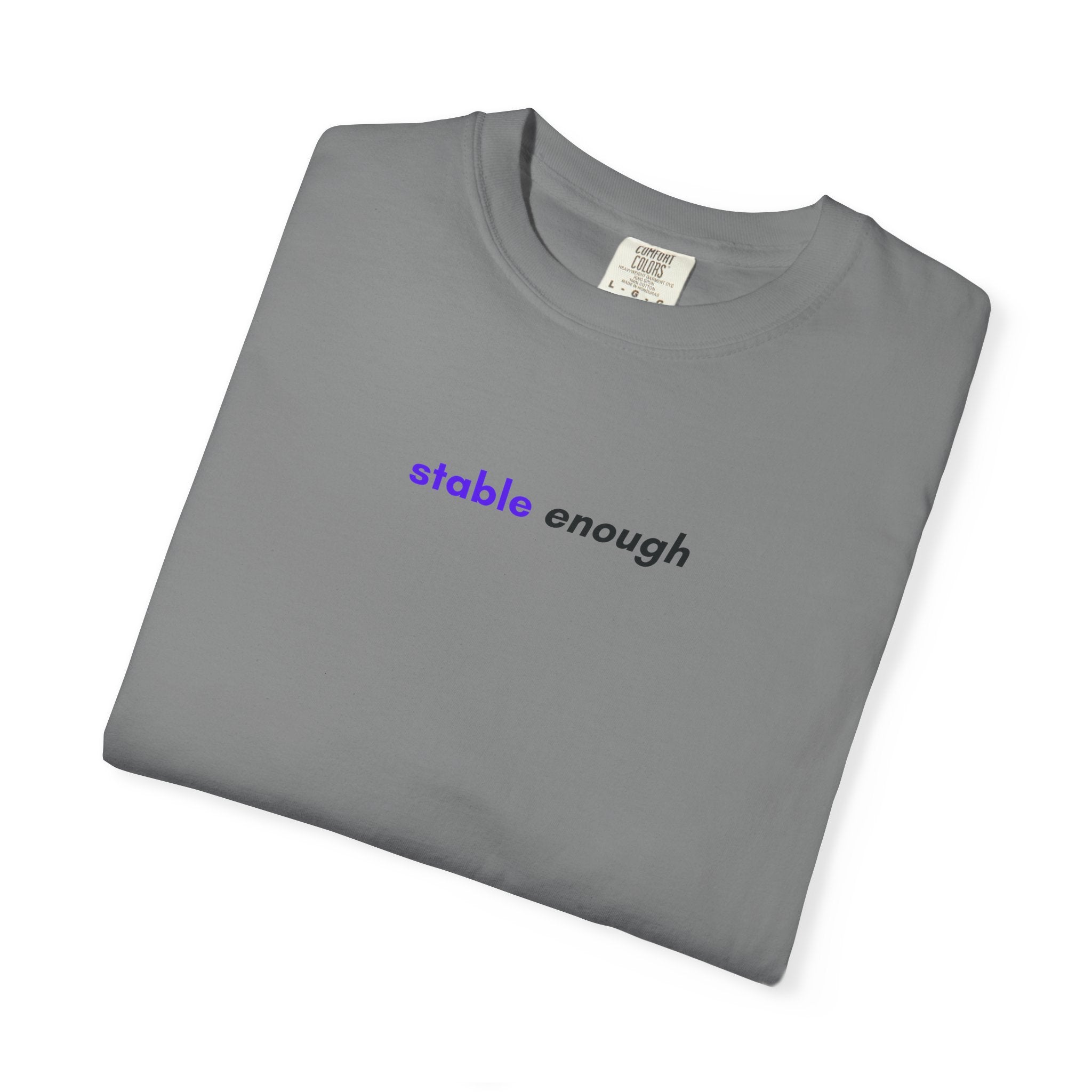Stable Enough Epilepsy Awareness T-Shirt | Minimal Awareness Tee