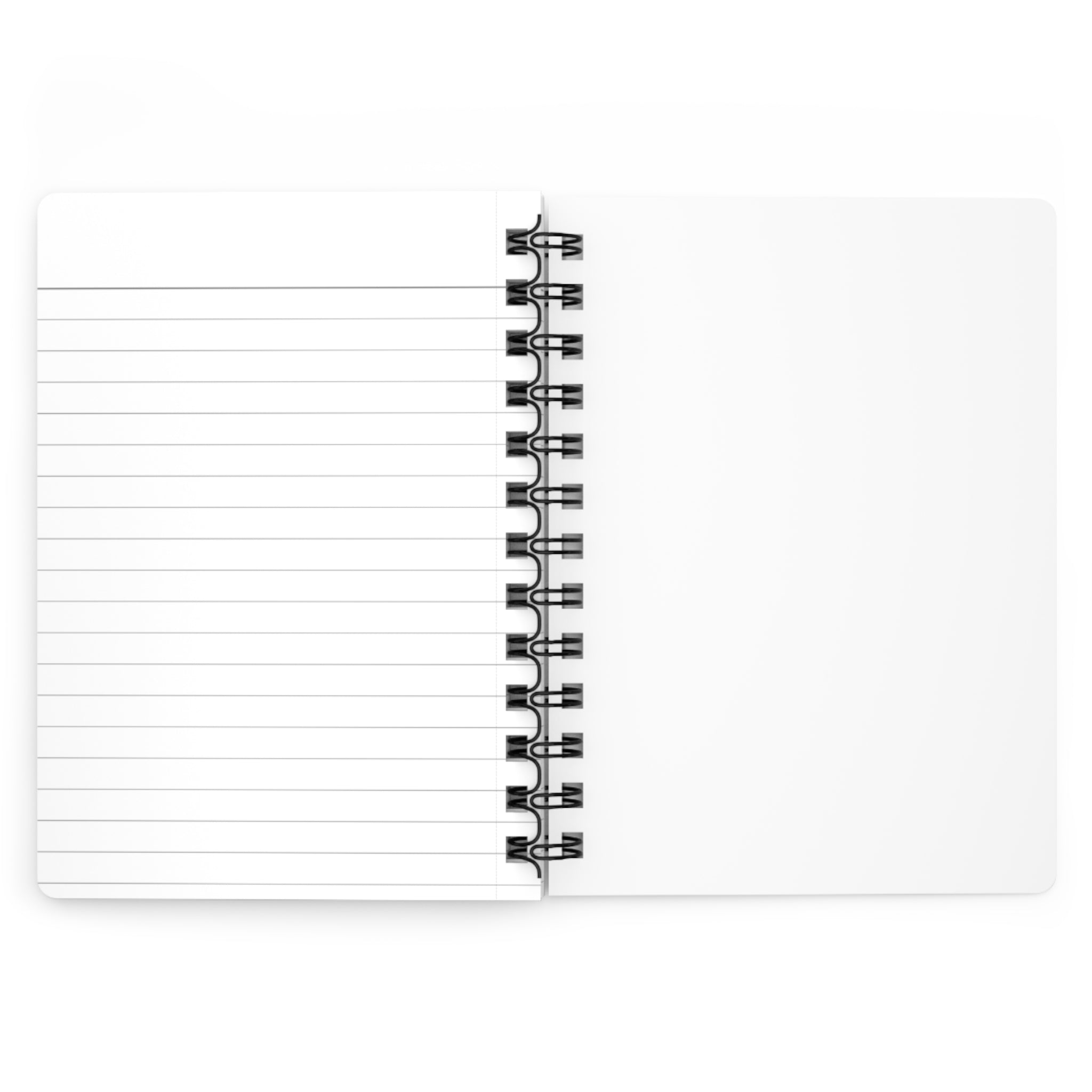 Bureau of Classroom Management Teacher Lesson Plan Notebook